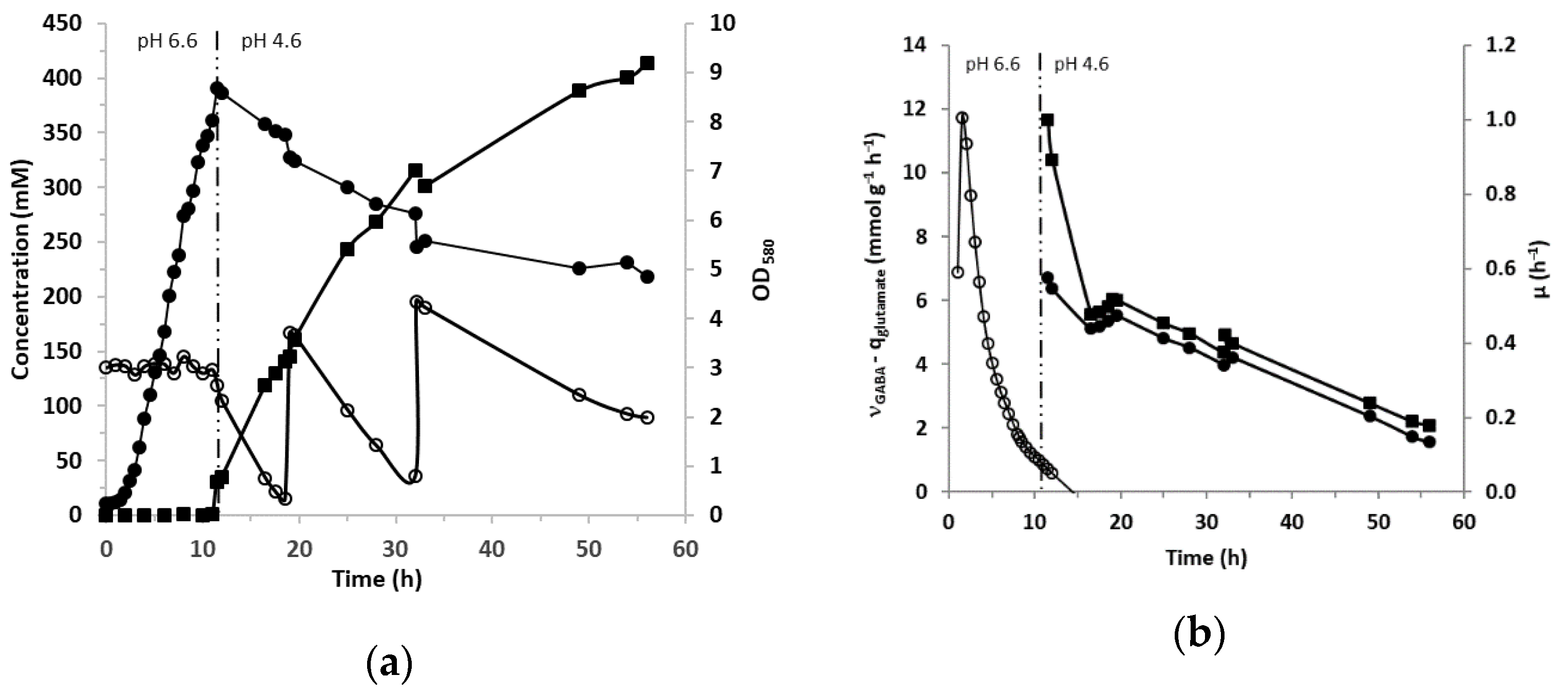 Microorganisms 09 00122 g004