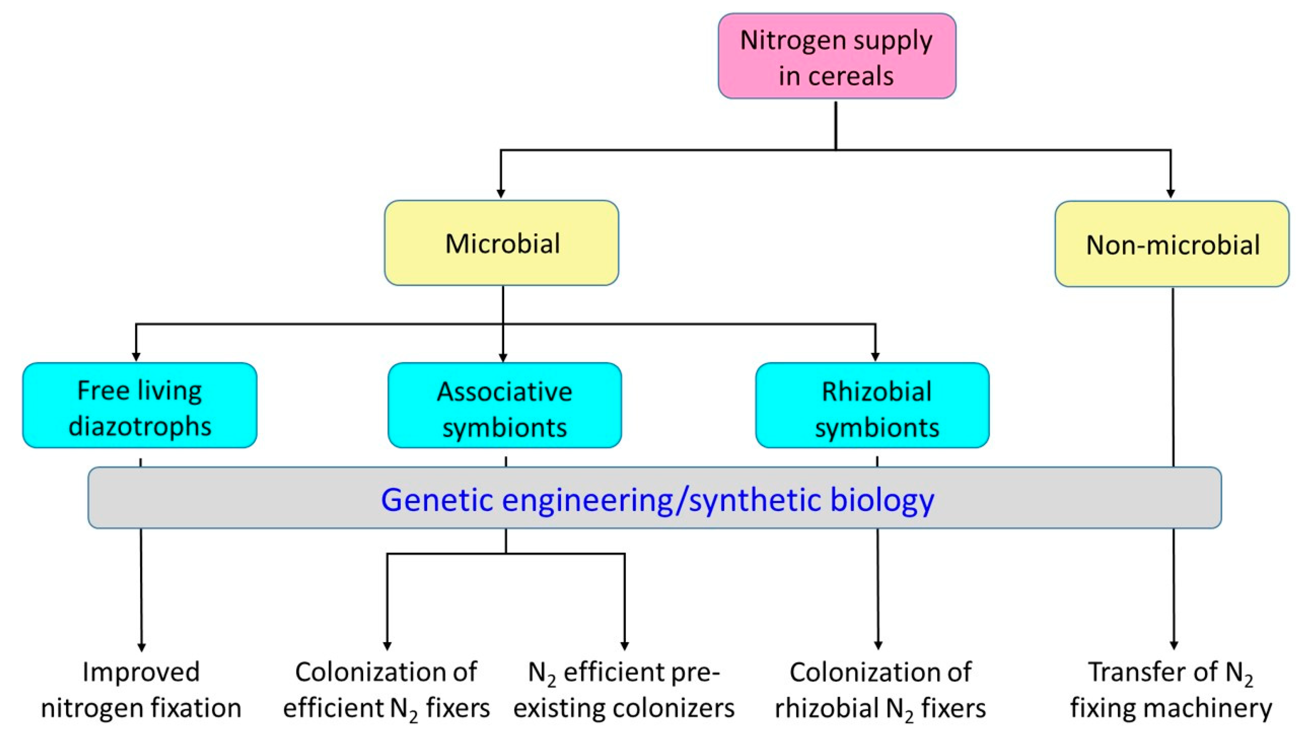 Microorganisms 09 00125 g002 Microorganisms 09 00125 g002