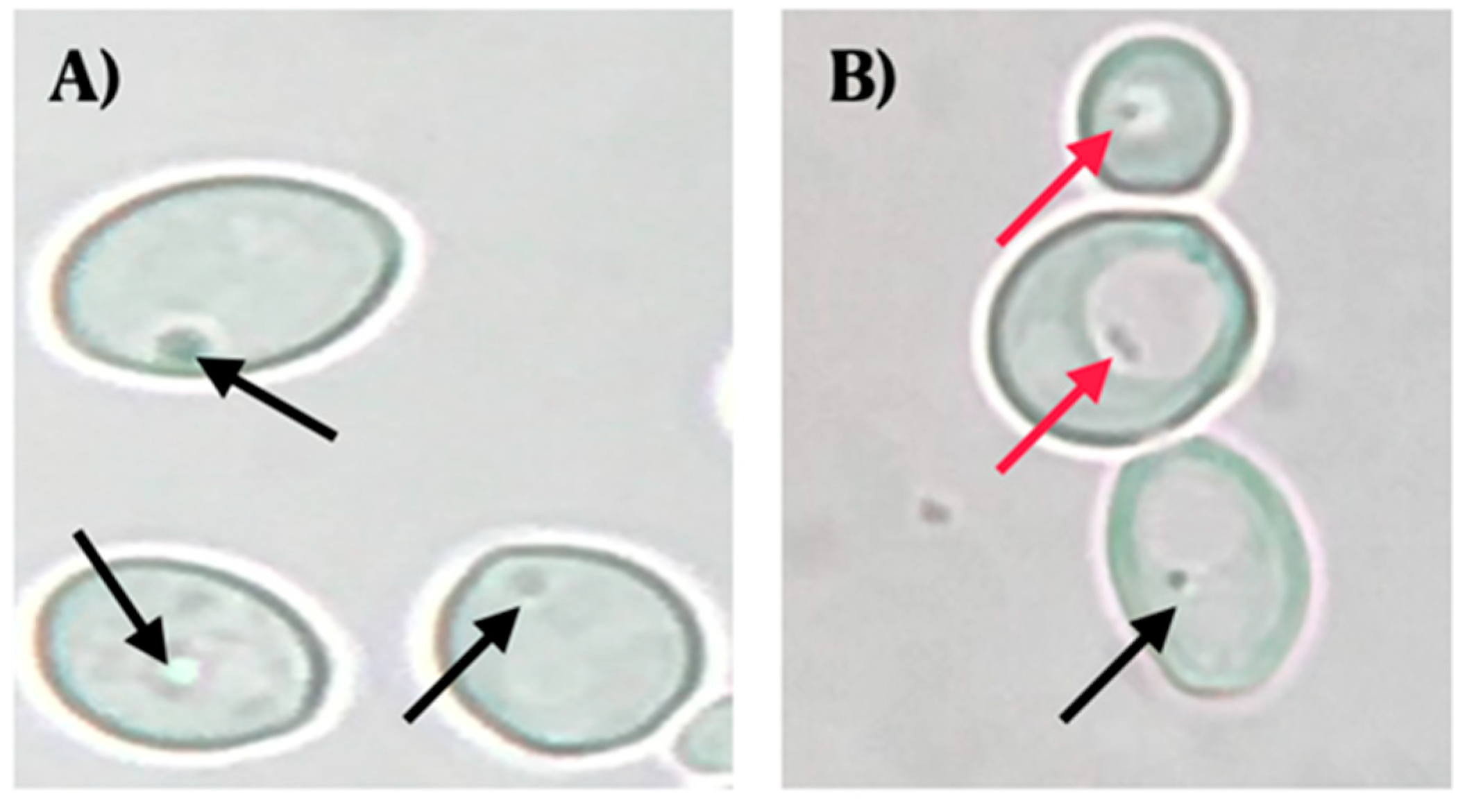 Microorganisms 09 00131 g001