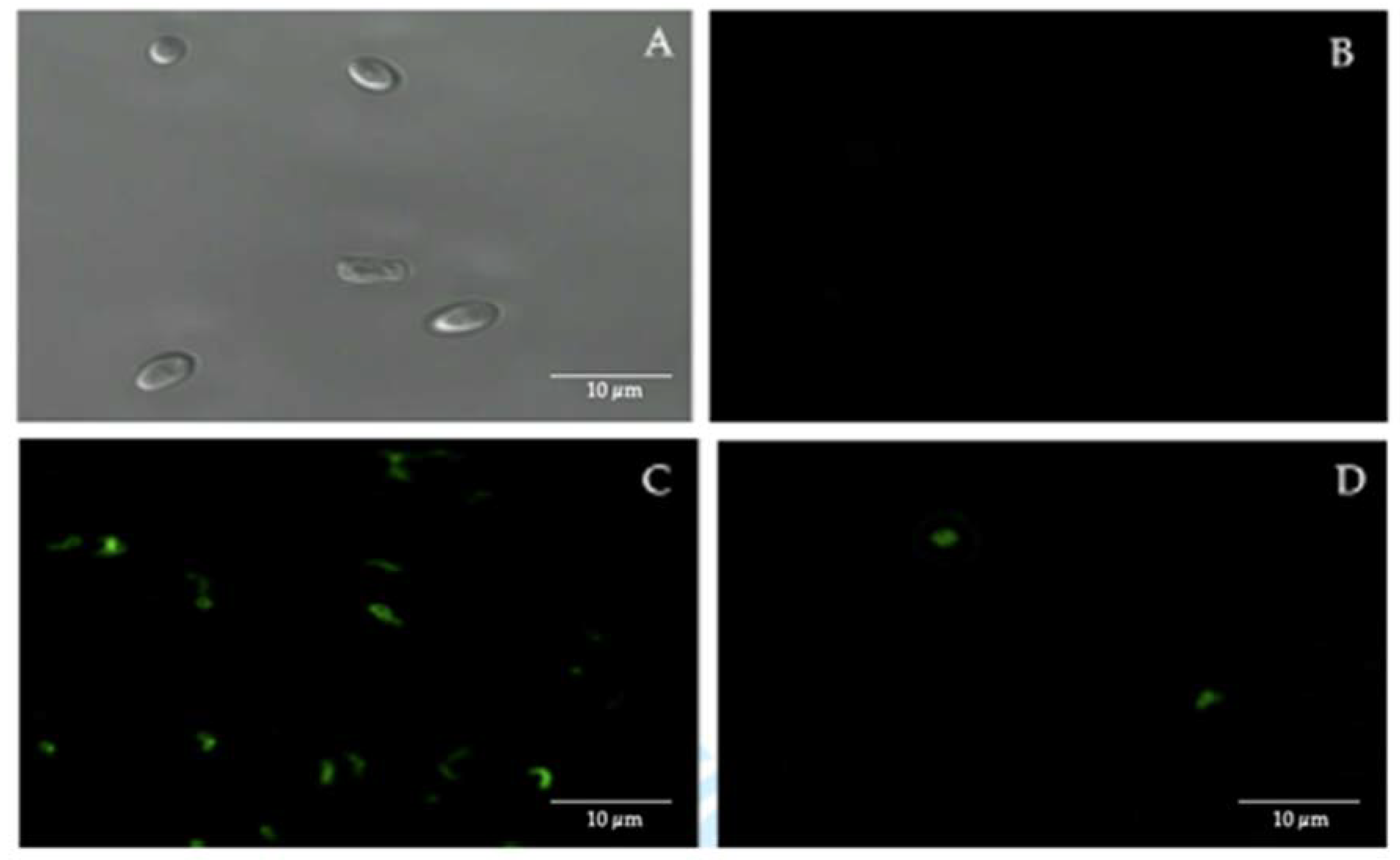 Microorganisms 09 00131 g002