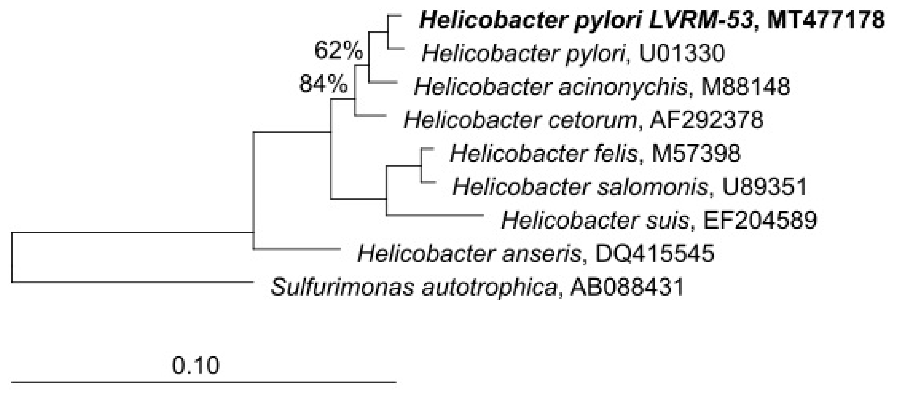 Microorganisms 09 00131 g008