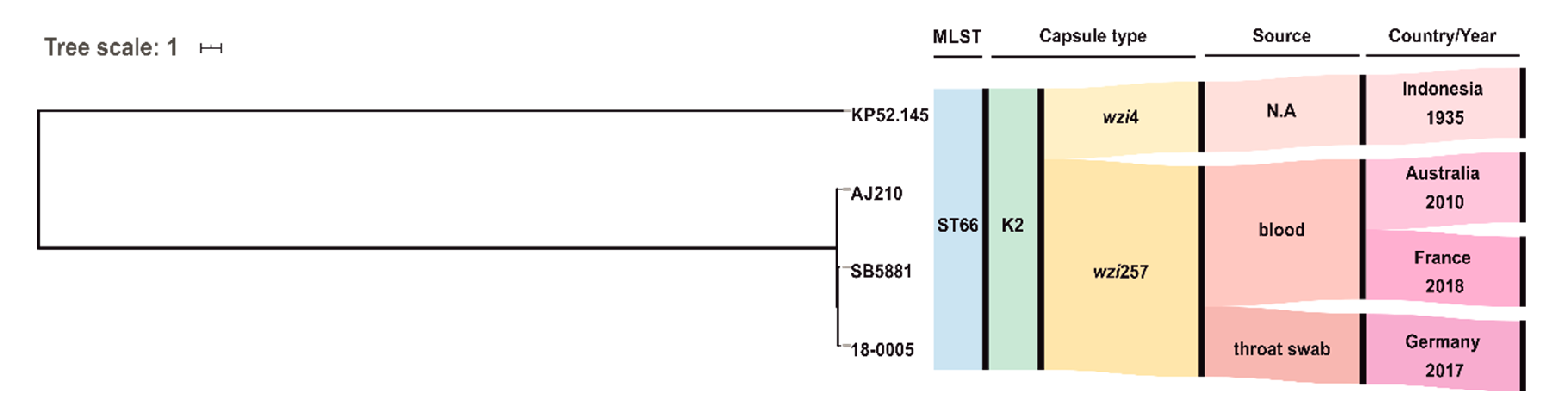 Microorganisms 09 00133 g002 Microorganisms 09 00133 g002