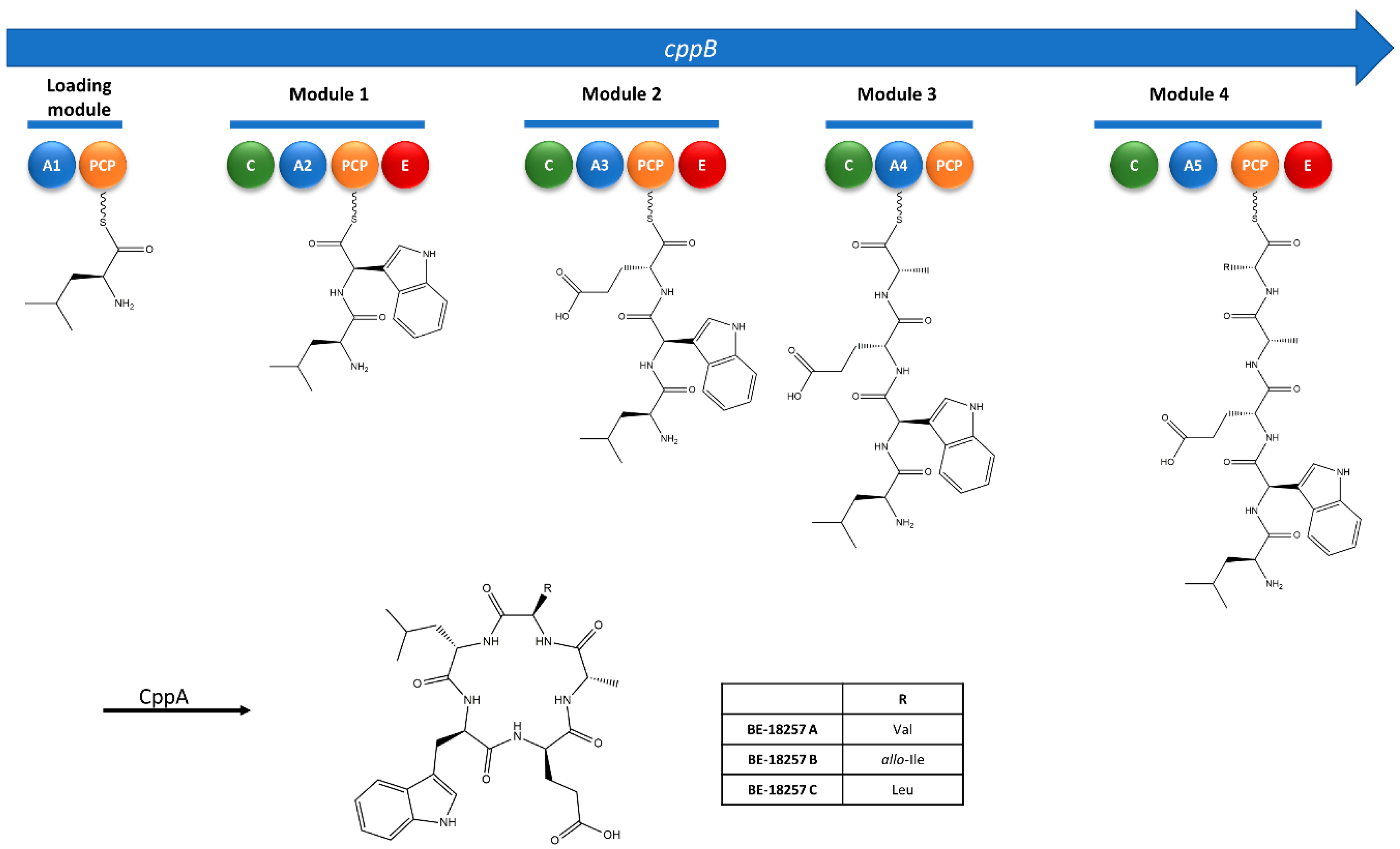 Microorganisms 09 00135 g005 Microorganisms 09 00135 g005