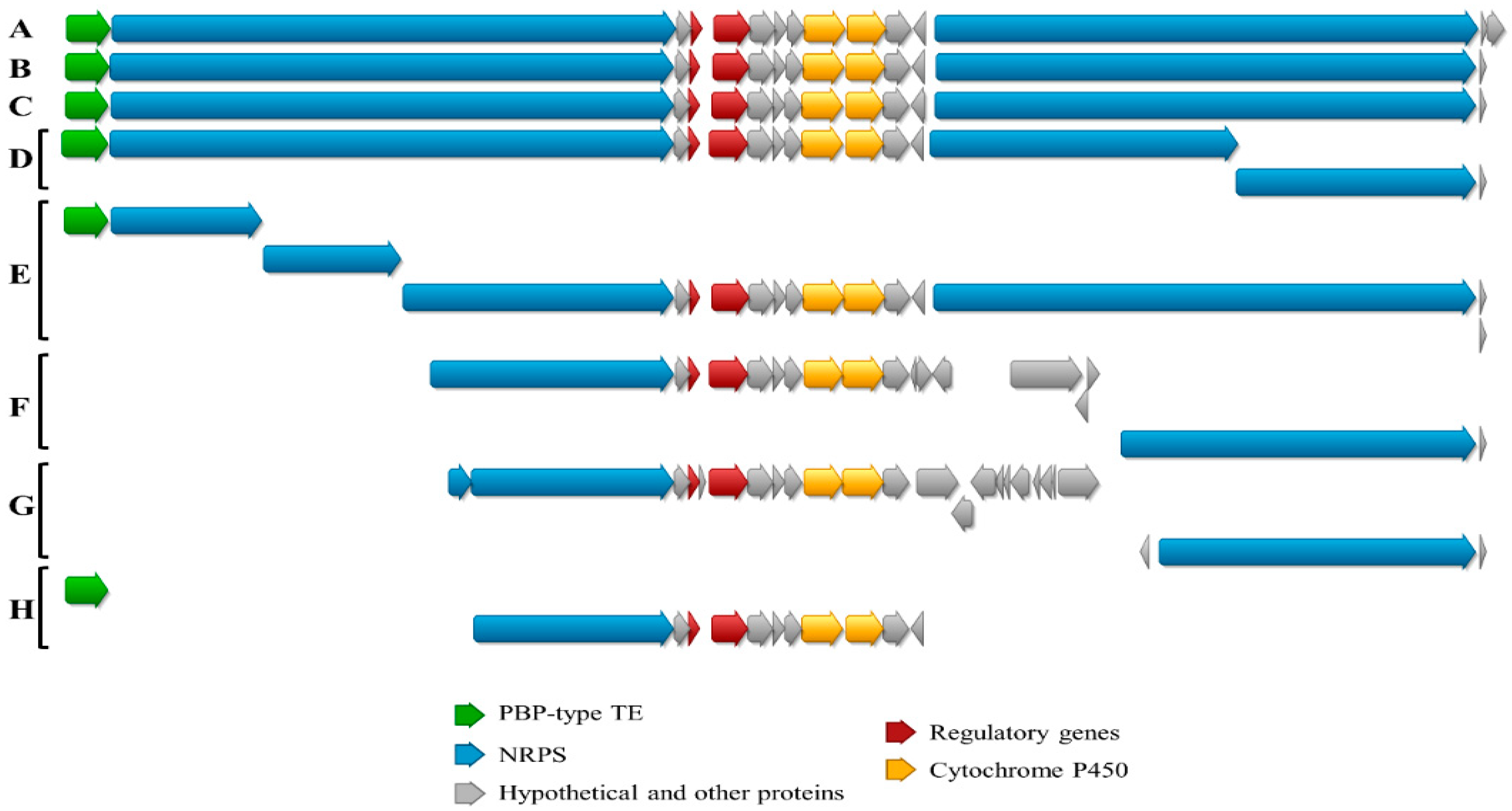 Microorganisms 09 00135 g008 Microorganisms 09 00135 g008