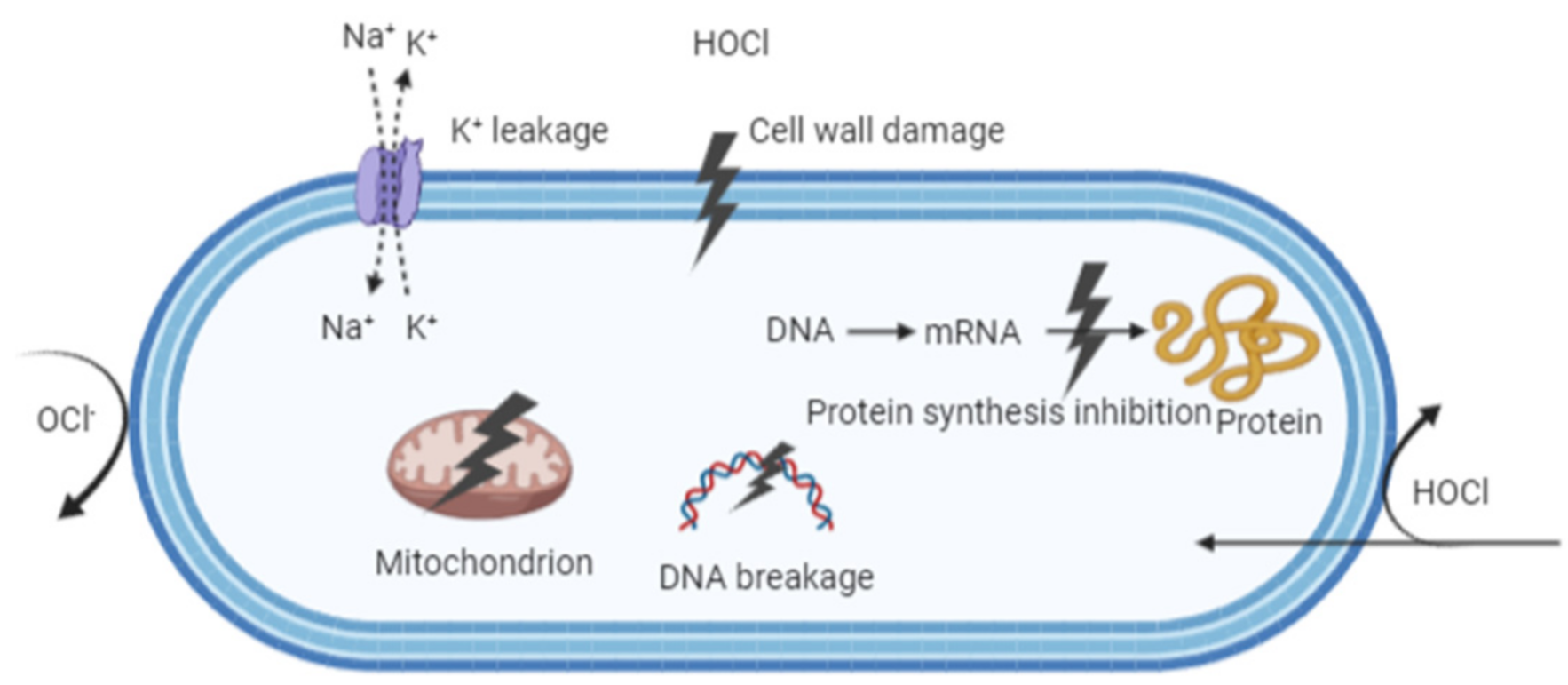 Microorganisms 09 00136 g004 Microorganisms 09 00136 g004