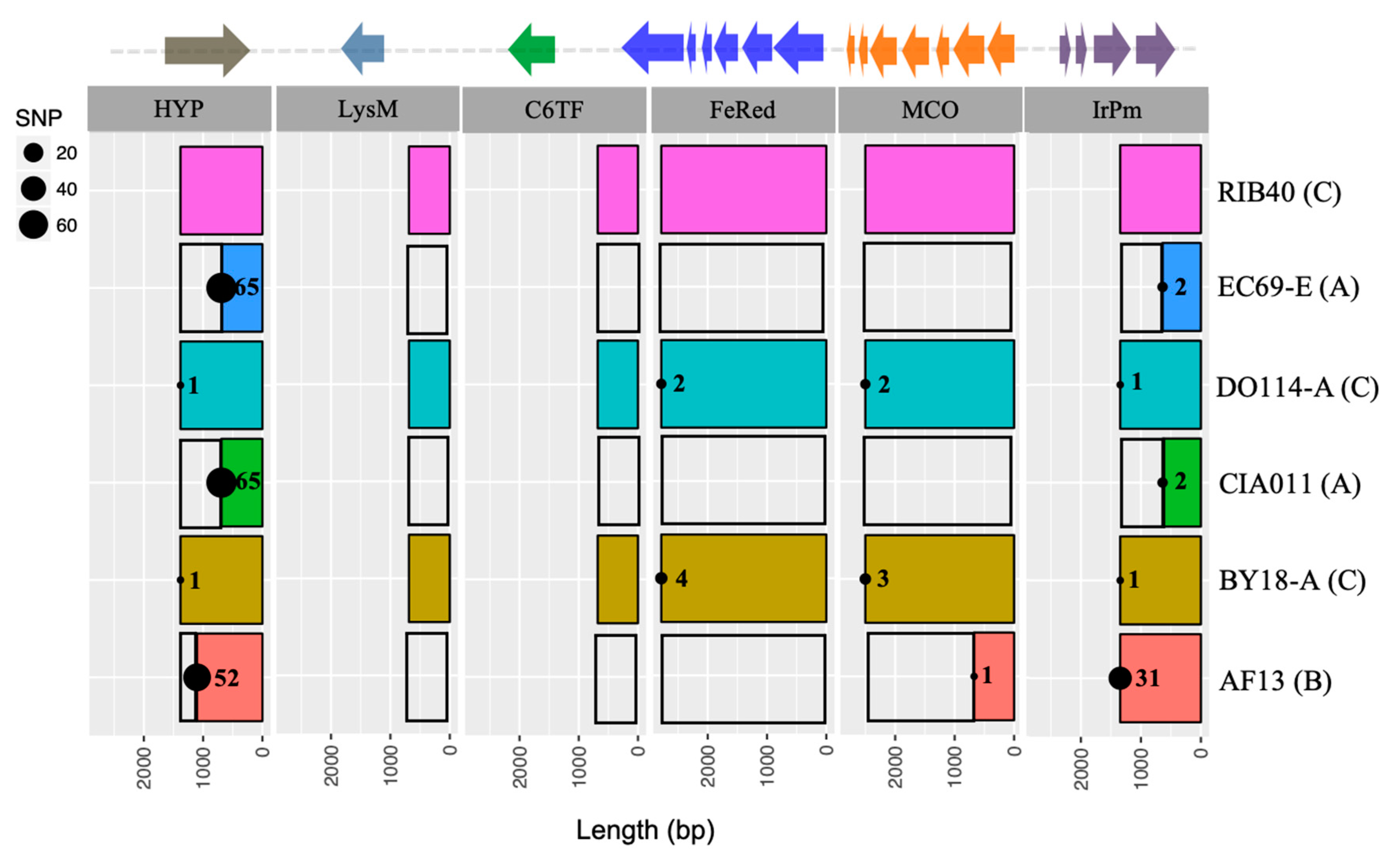 Microorganisms 09 00137 g002