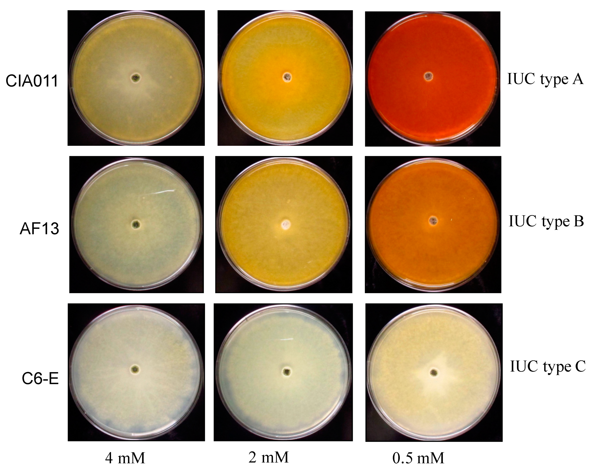 Microorganisms 09 00137 g003