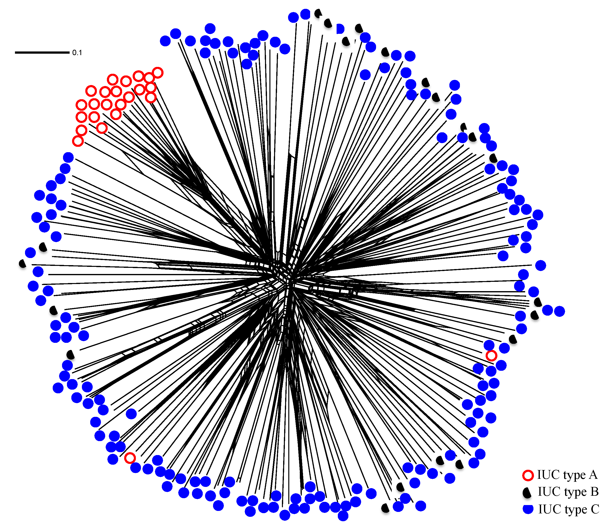Microorganisms 09 00137 g004