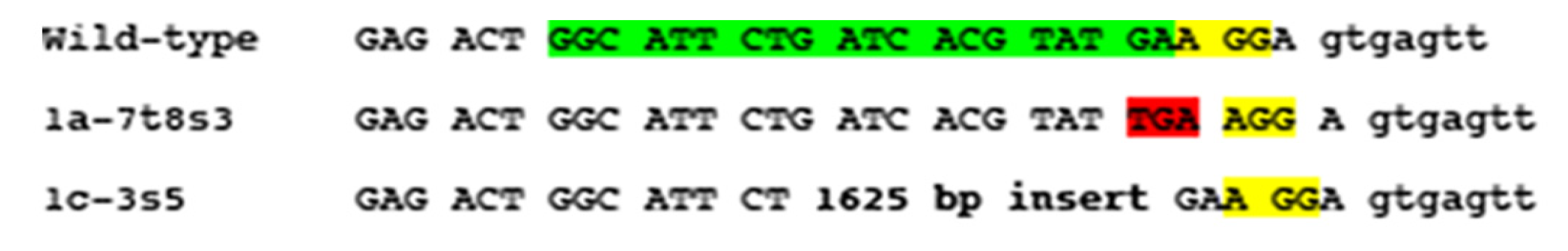 Microorganisms 09 00140 g001 Microorganisms 09 00140 g001