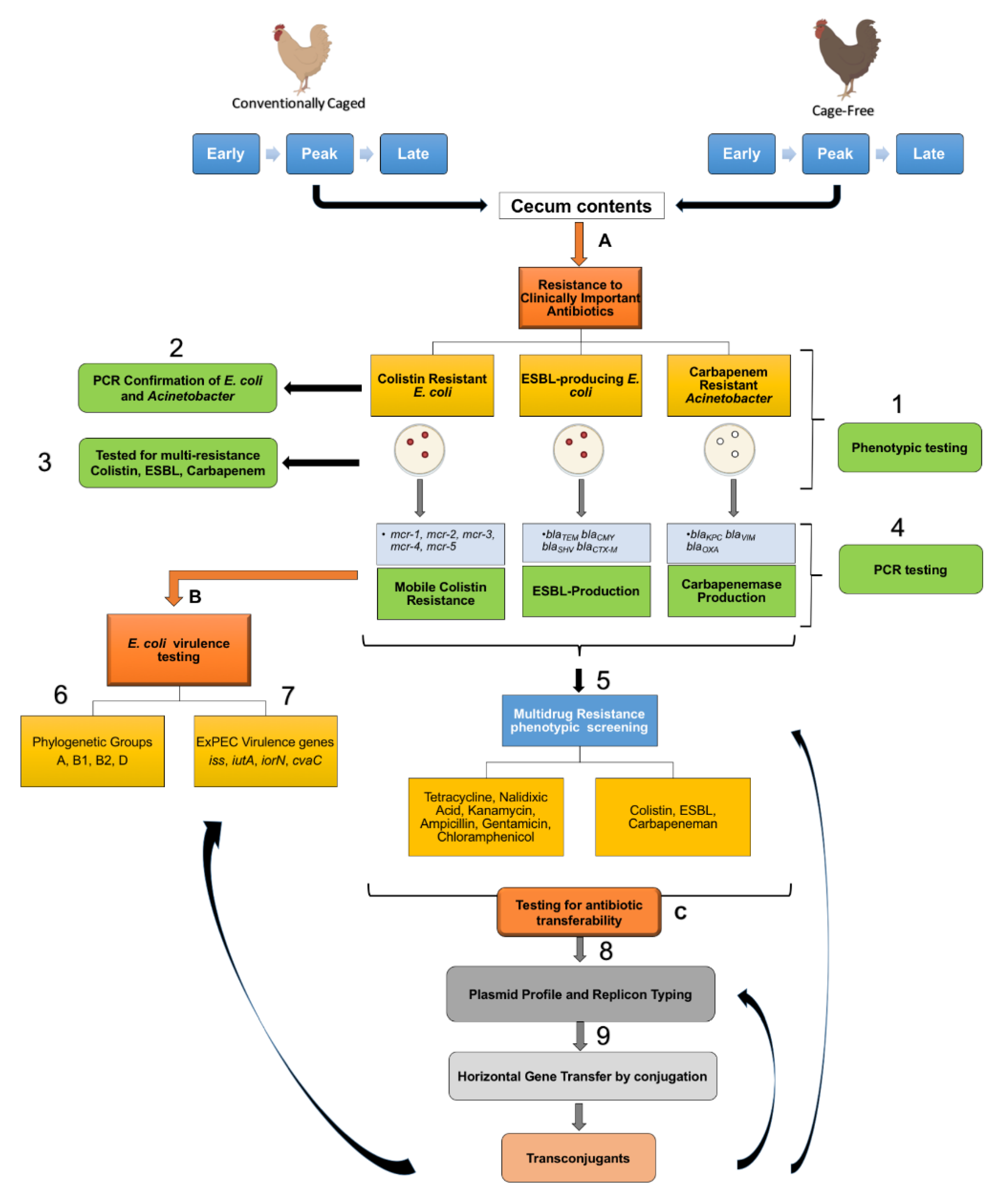 Microorganisms 09 00141 g001 Microorganisms 09 00141 g001