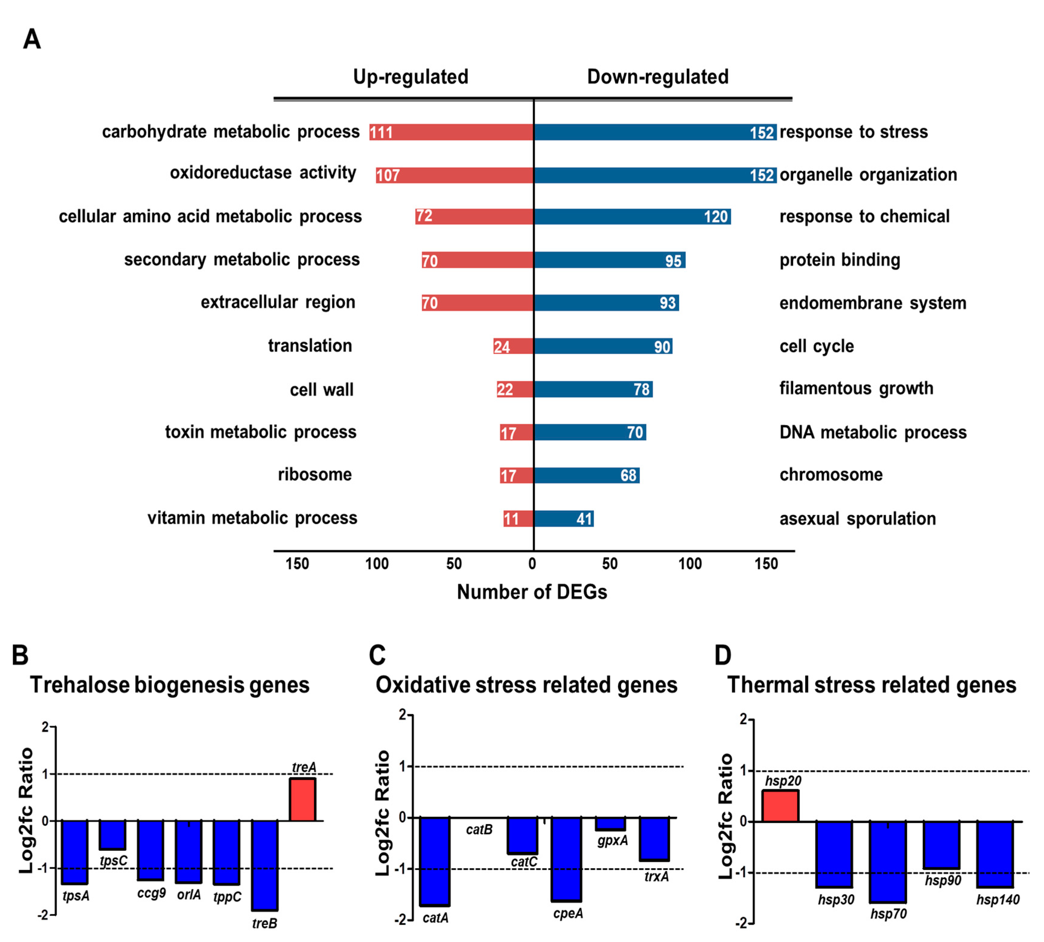 Microorganisms 09 00144 g001