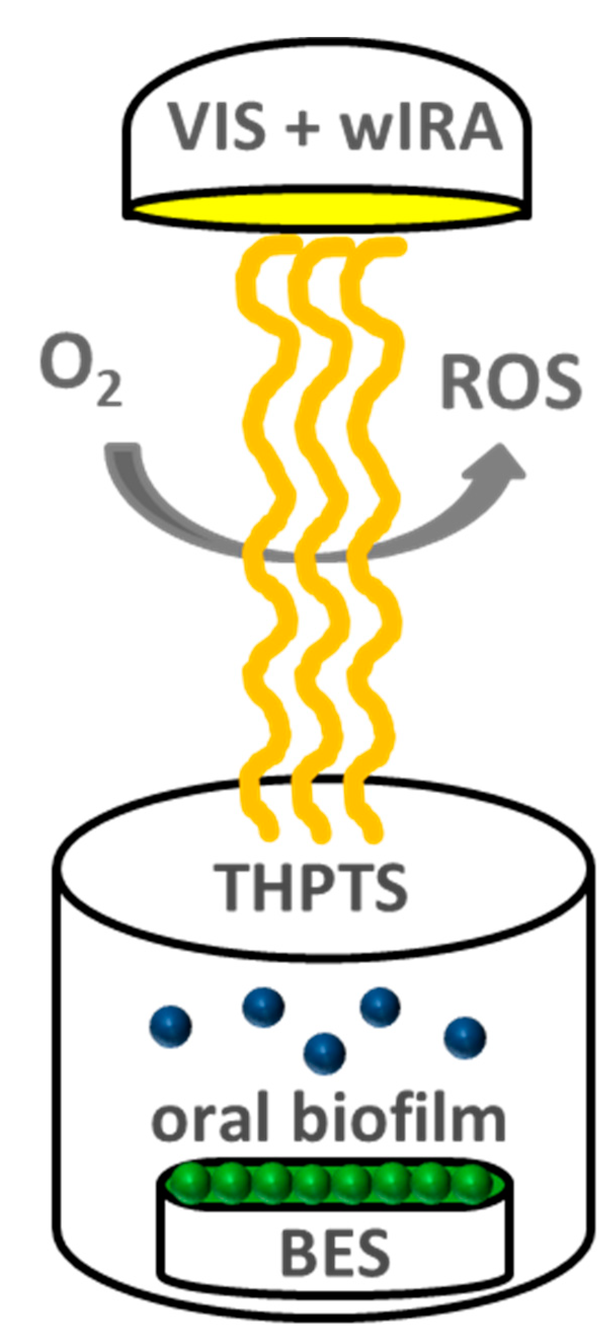 Microorganisms 09 00145 g002