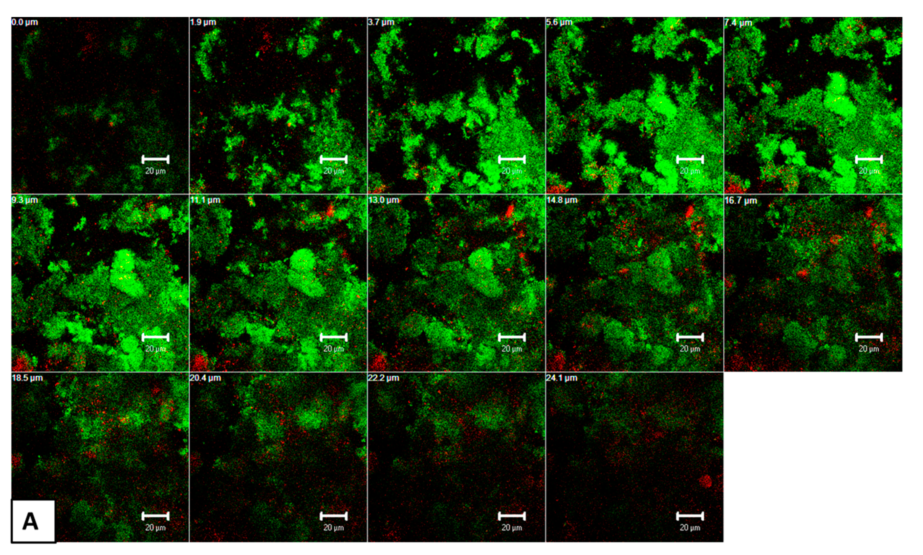 Microorganisms 09 00145 g005a