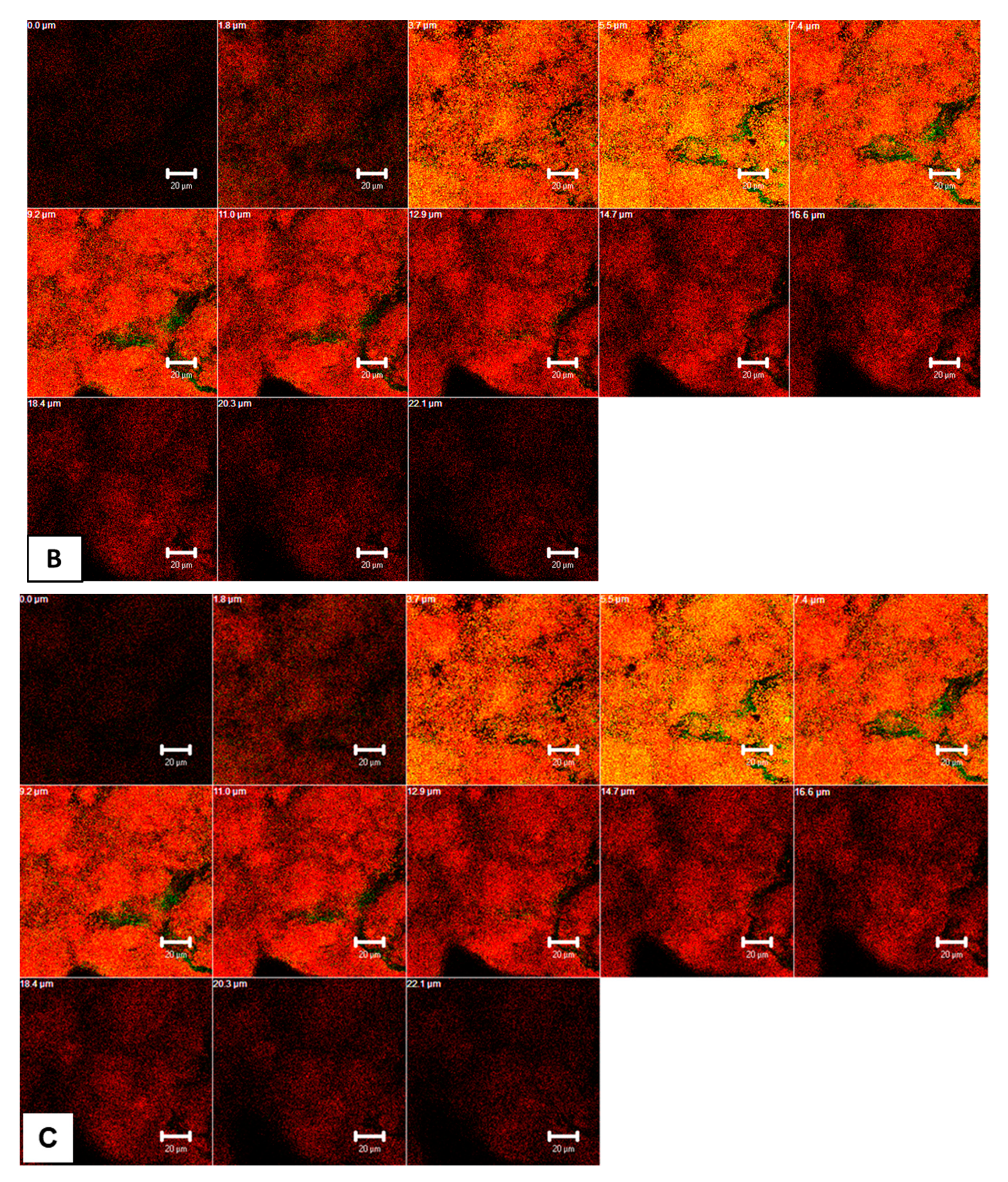 Microorganisms 09 00145 g005b