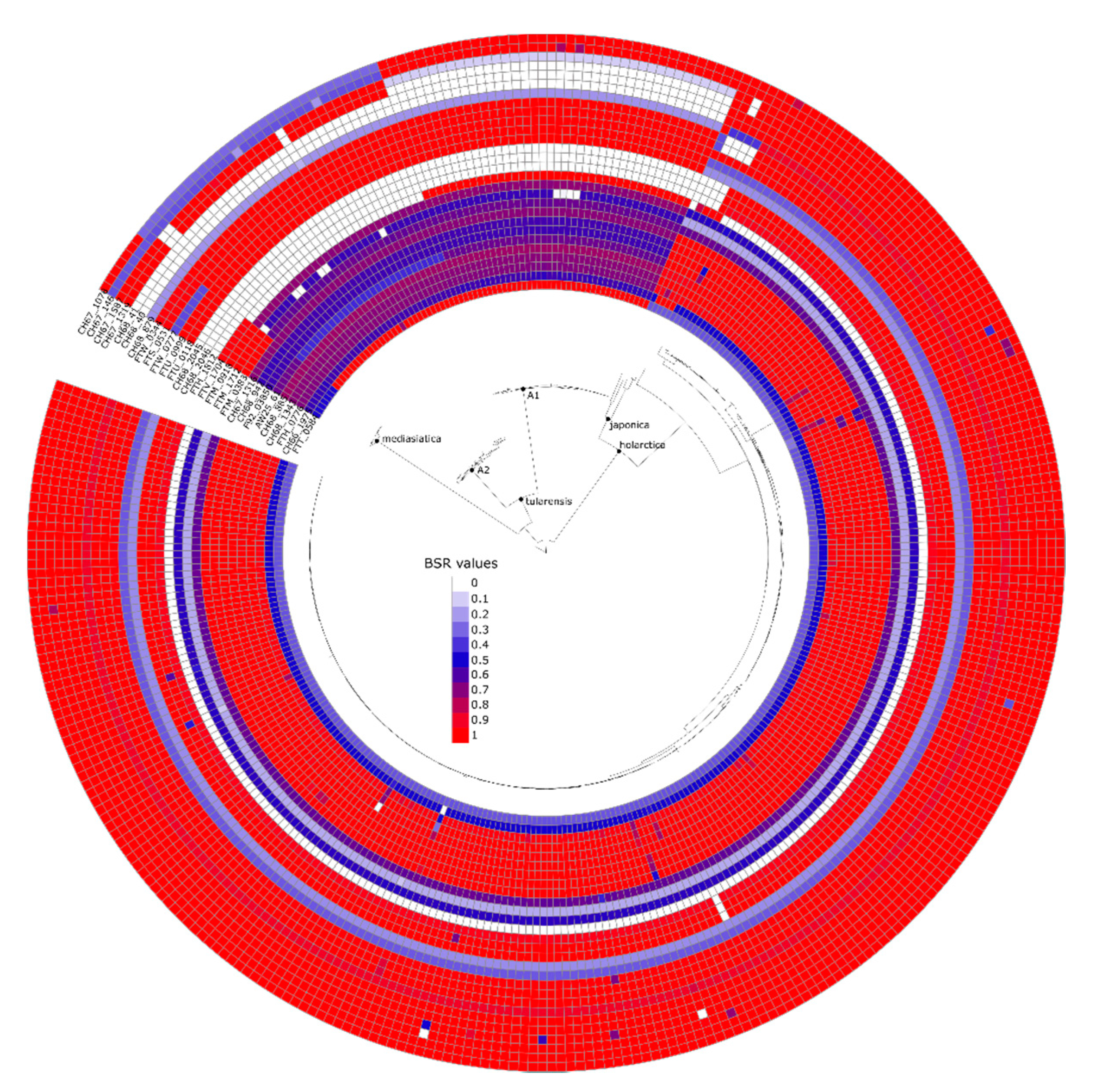 Microorganisms 09 00146 g004