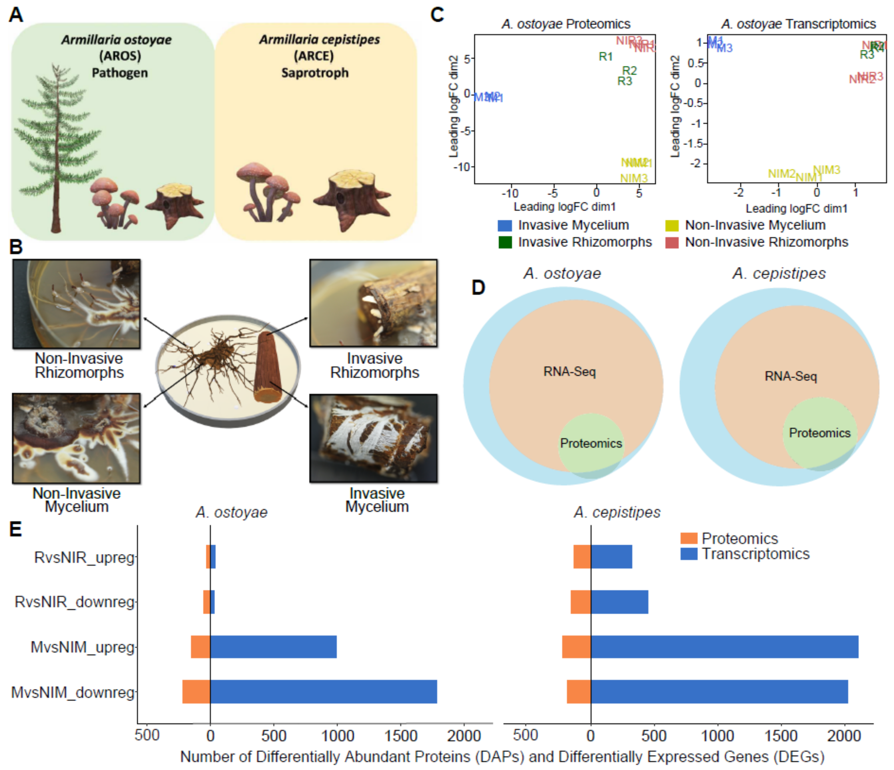 Microorganisms 09 00149 g001