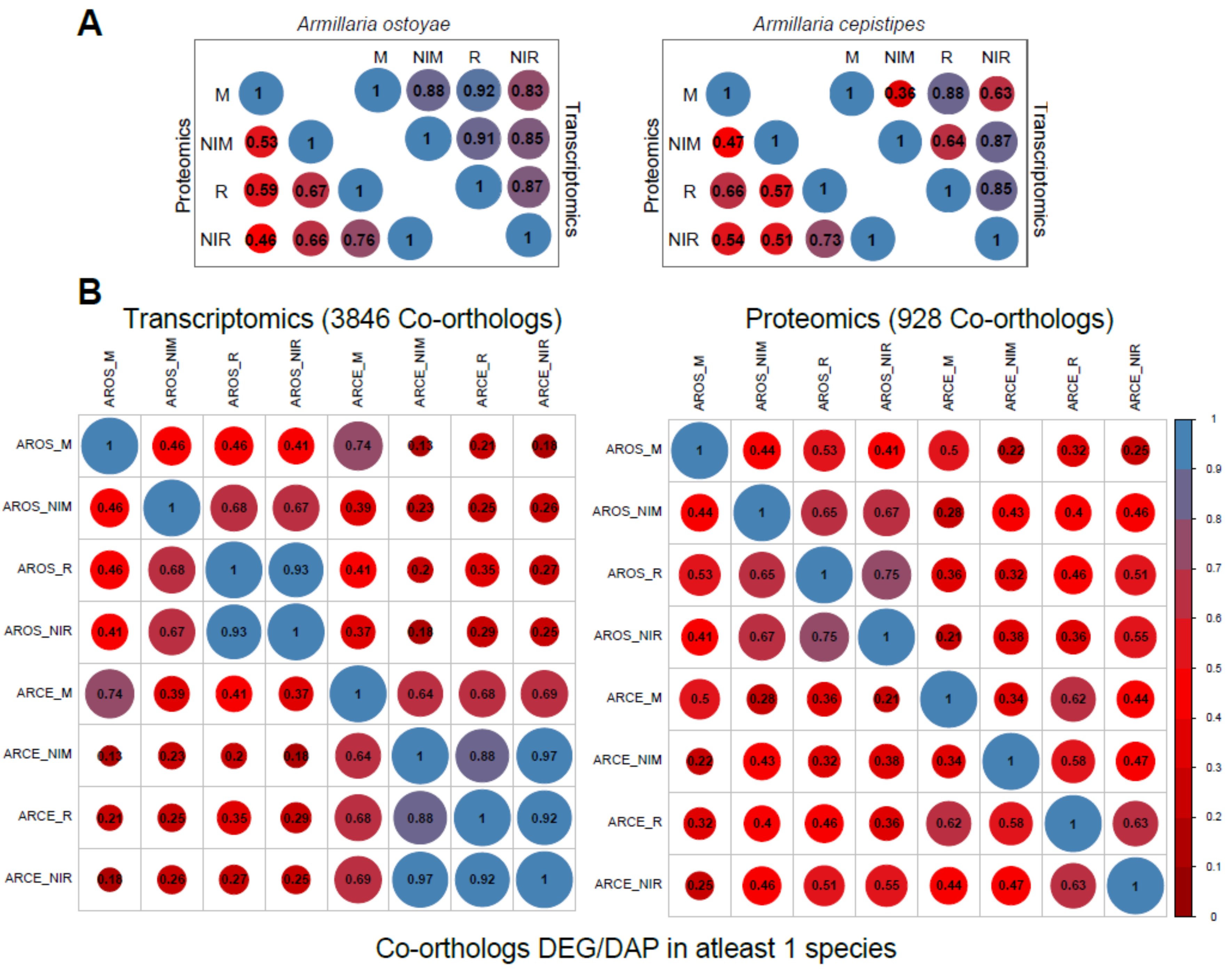 Microorganisms 09 00149 g003