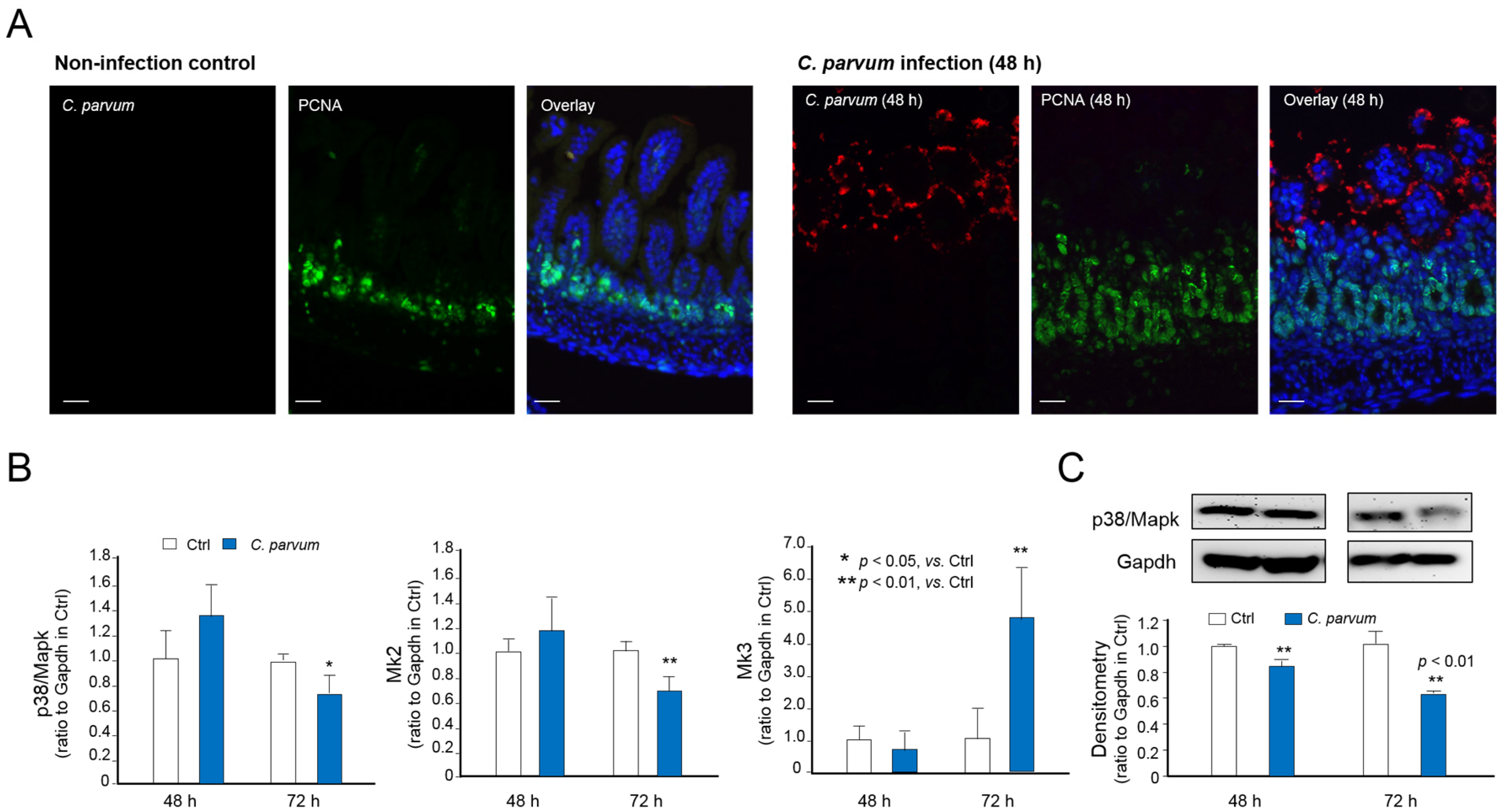 Microorganisms 09 00151 g004 Microorganisms 09 00151 g004