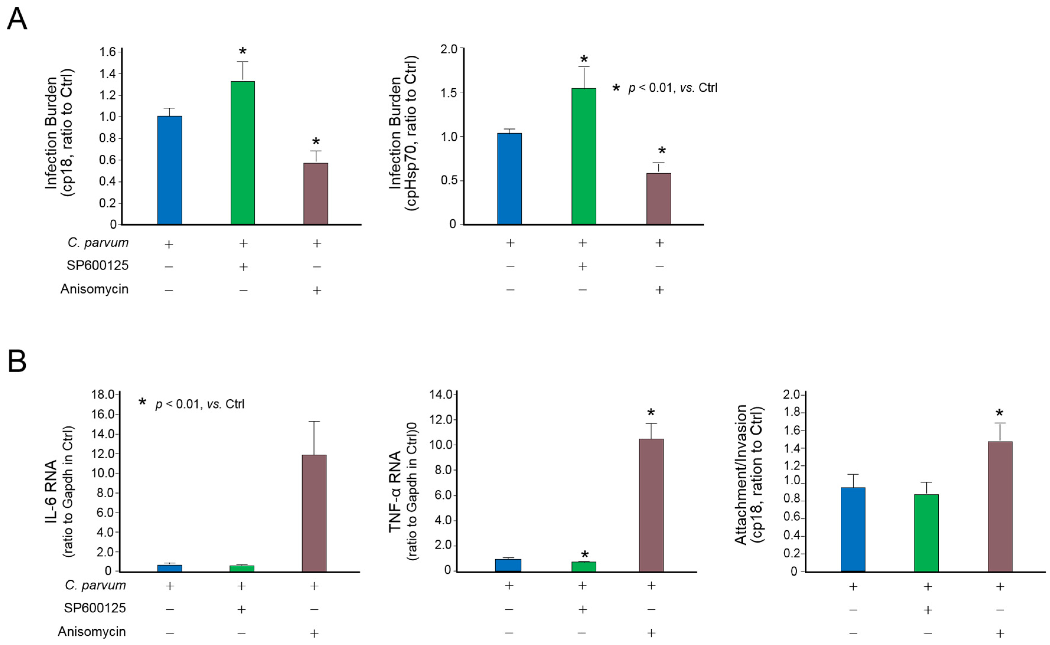 Microorganisms 09 00151 g006 Microorganisms 09 00151 g006