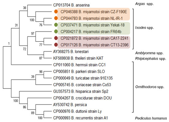 Microorganisms 09 00154 g001 550