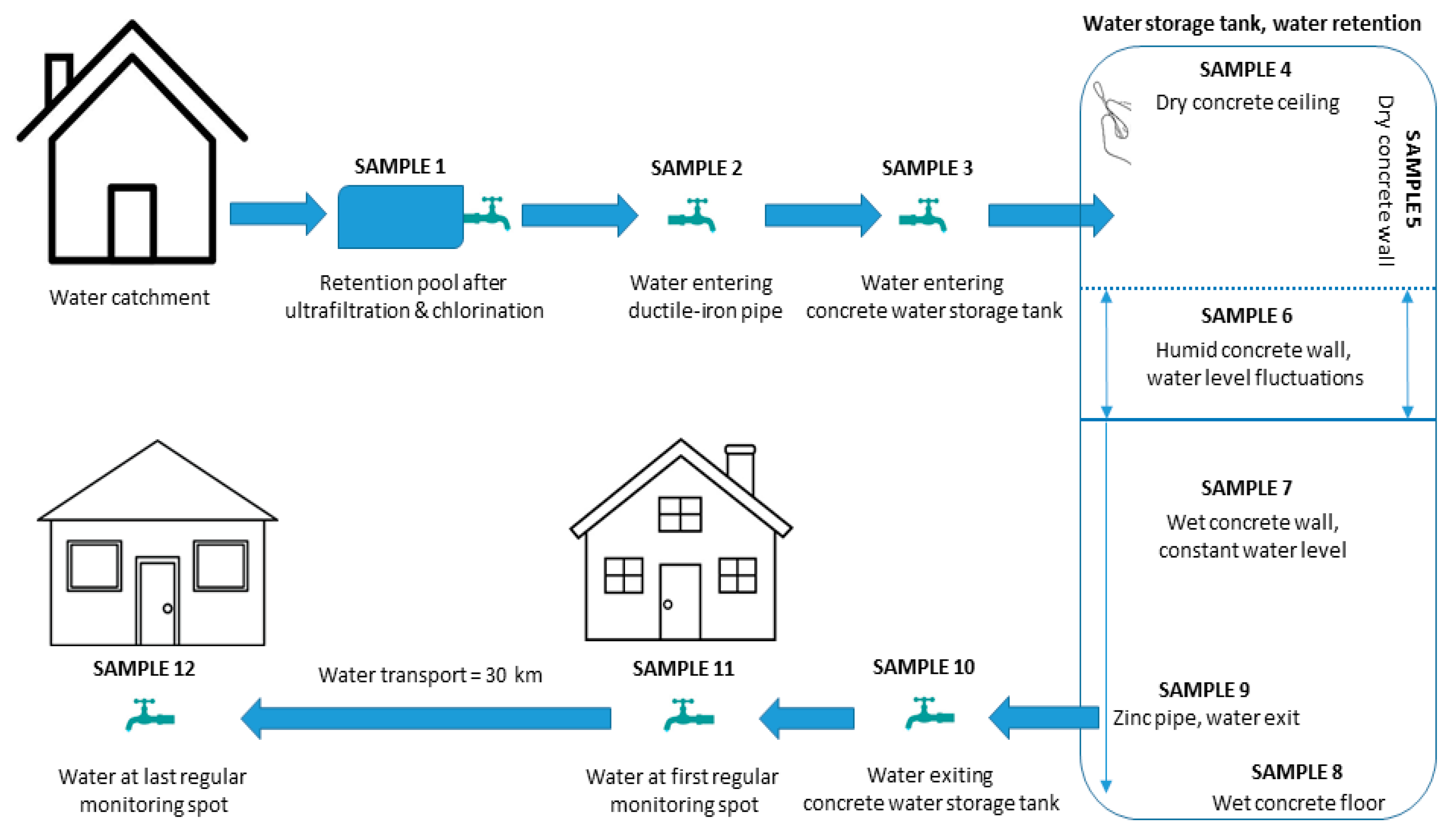 Microorganisms 09 00160 g001