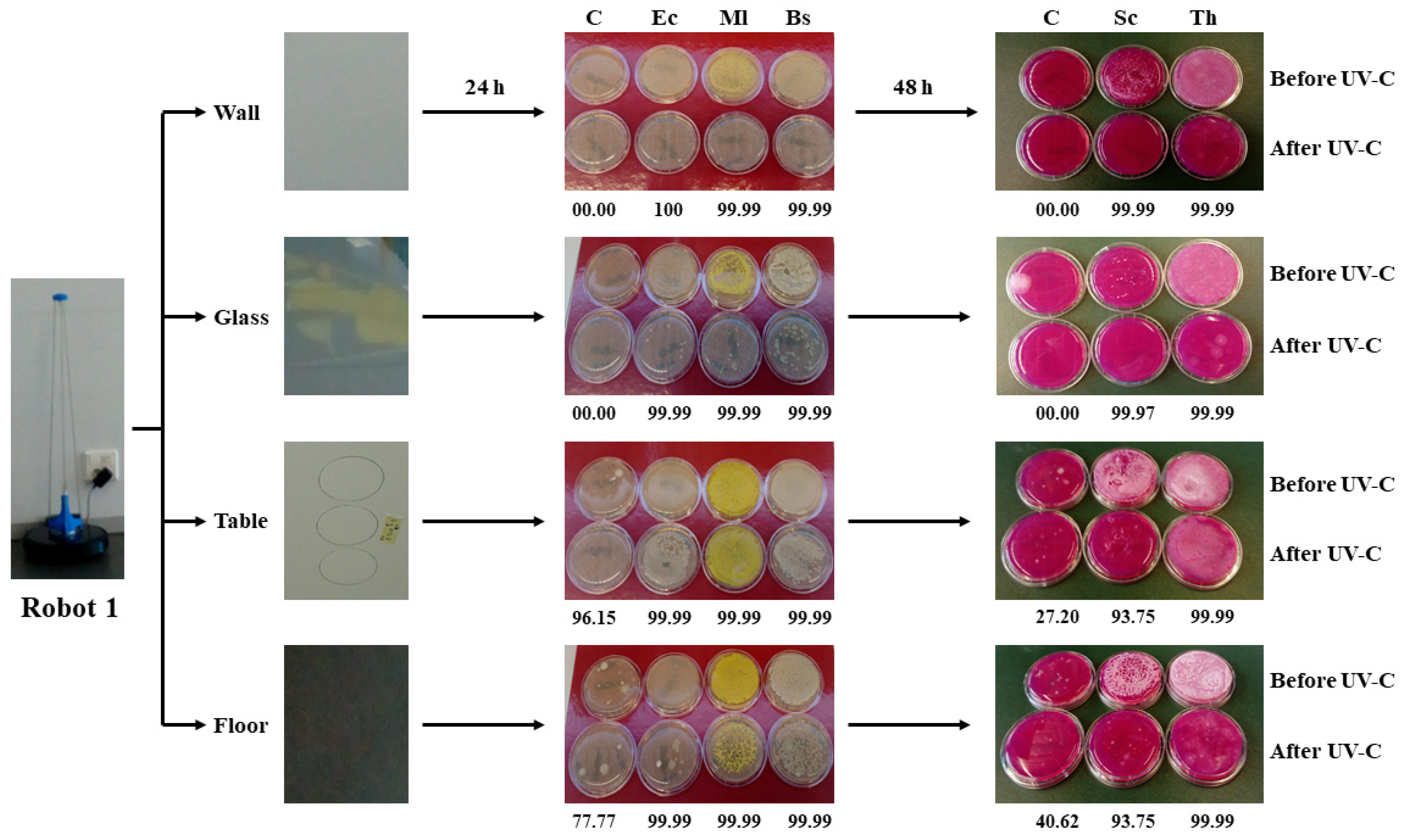 Microorganisms 09 00172 g001