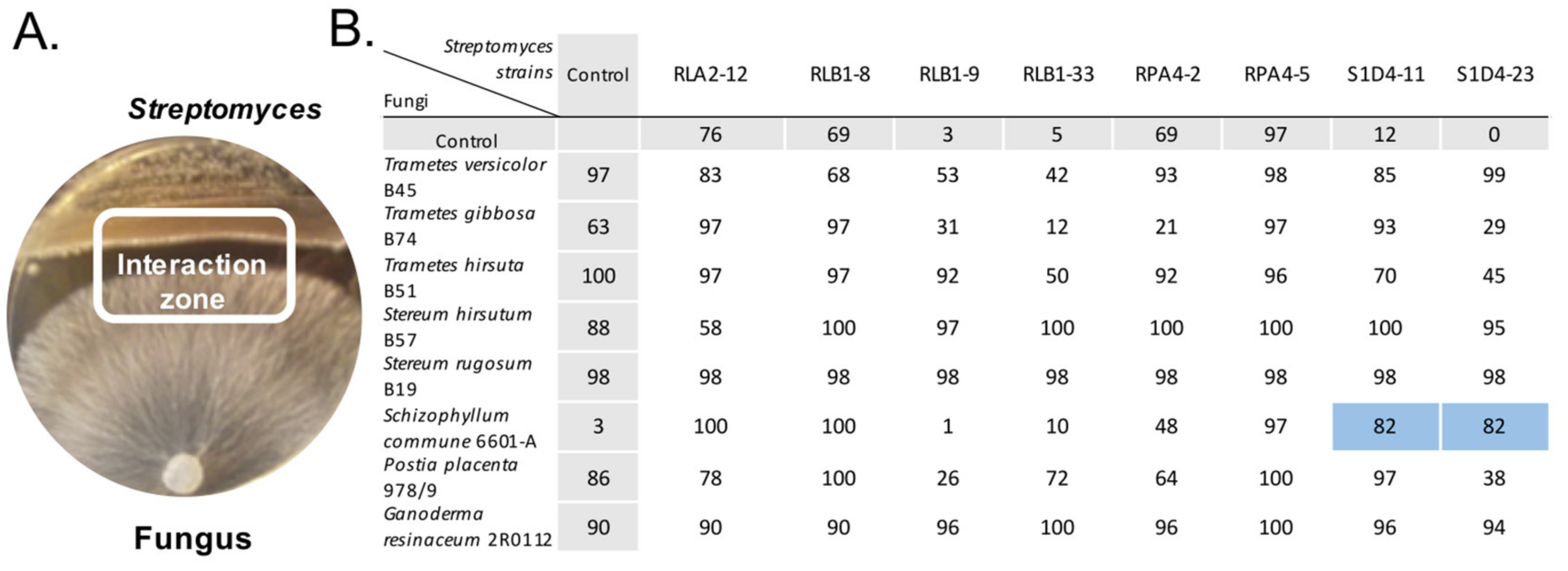 Microorganisms 09 00178 g001