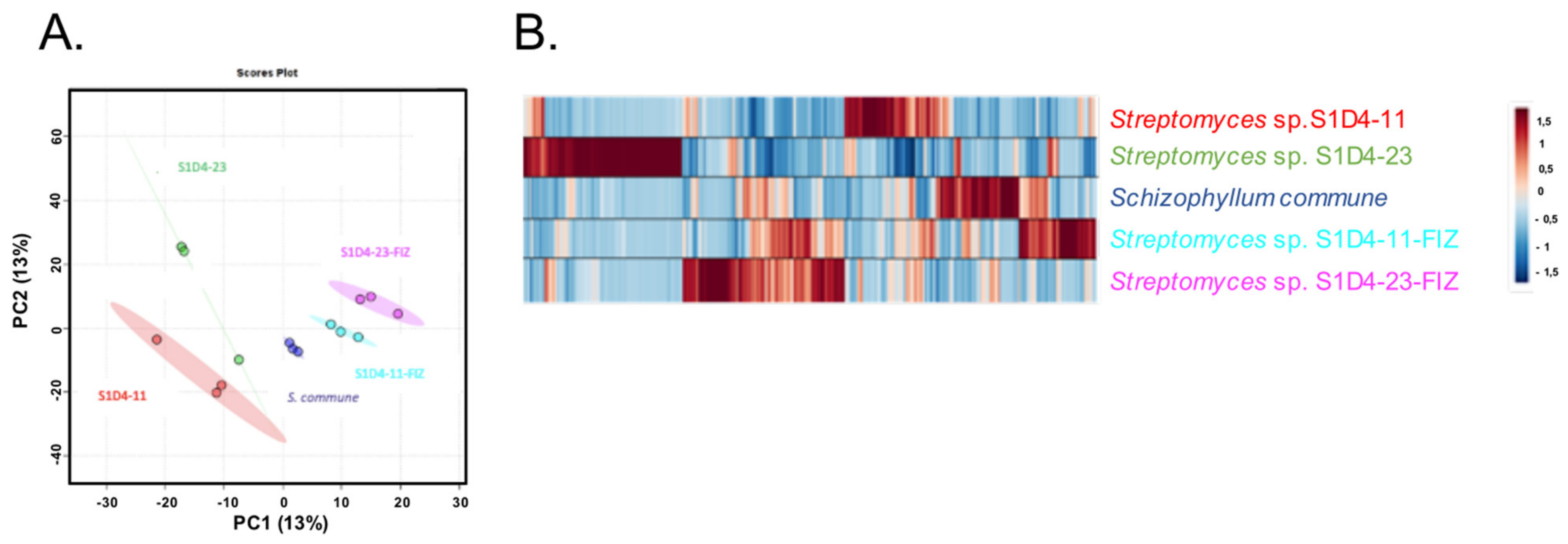 Microorganisms 09 00178 g003