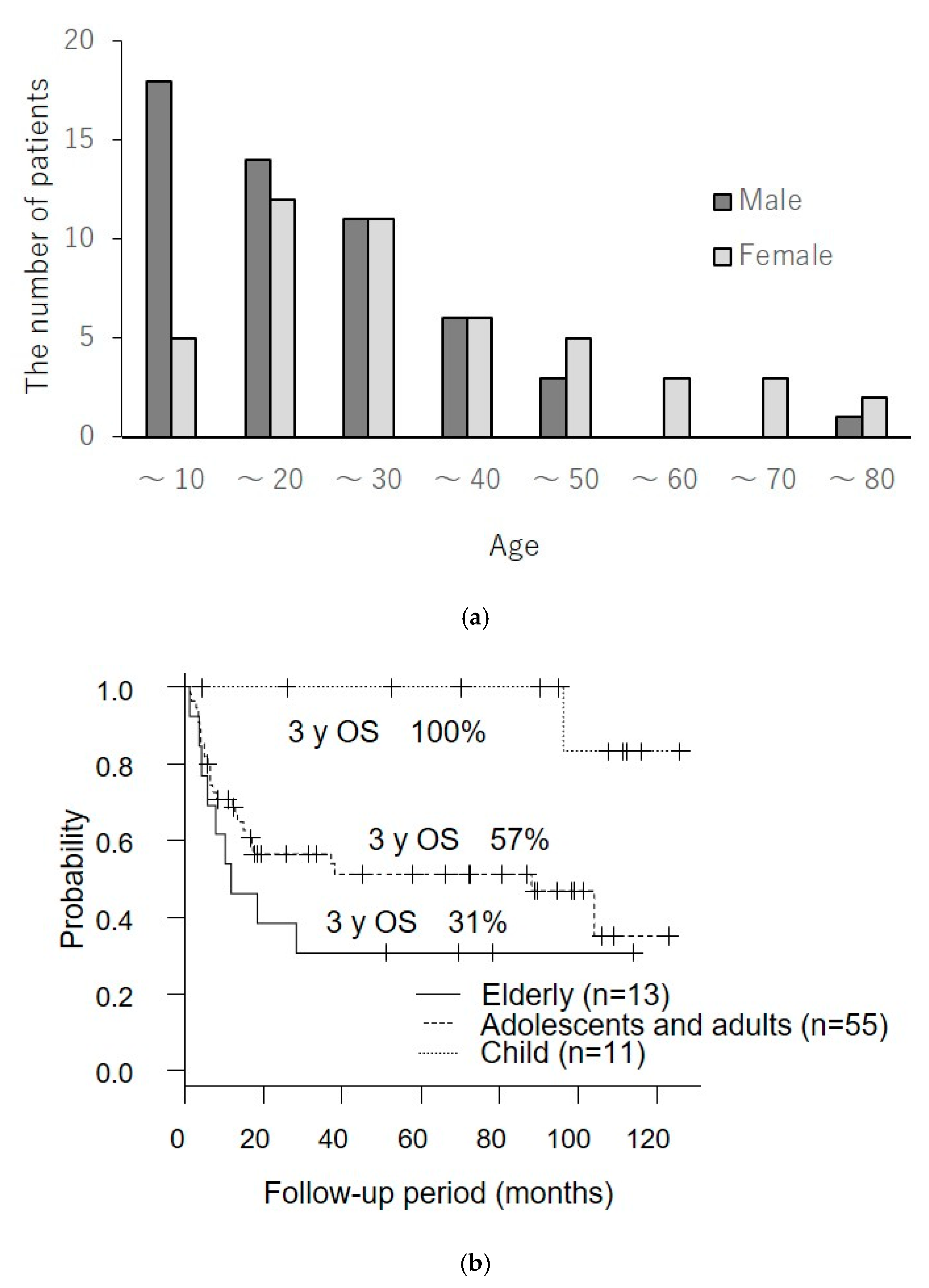 Chronic Active Epstein–Barr Virus Infection: The Elucidation