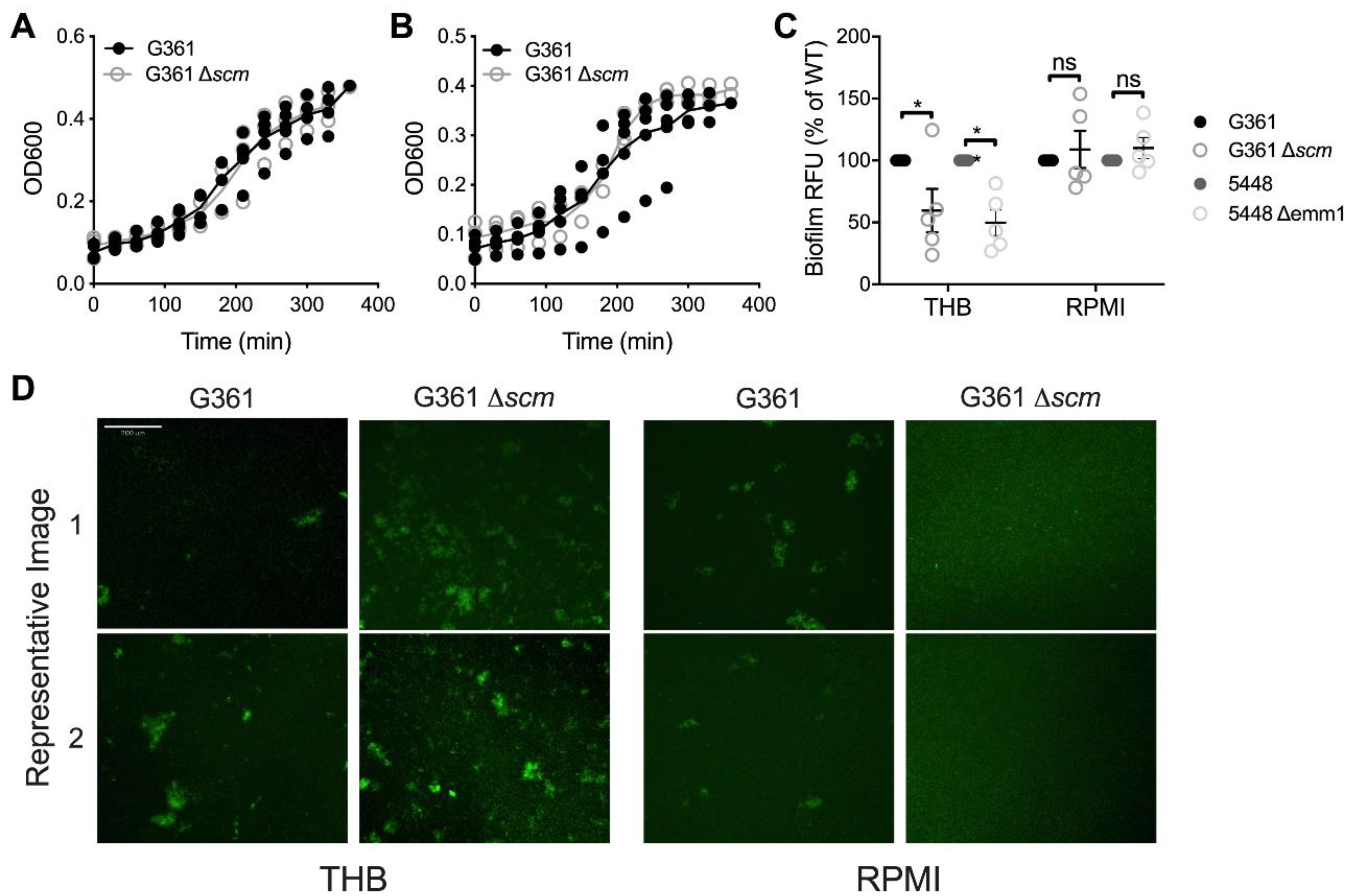 Microorganisms 09 00183 g001 Microorganisms 09 00183 g001