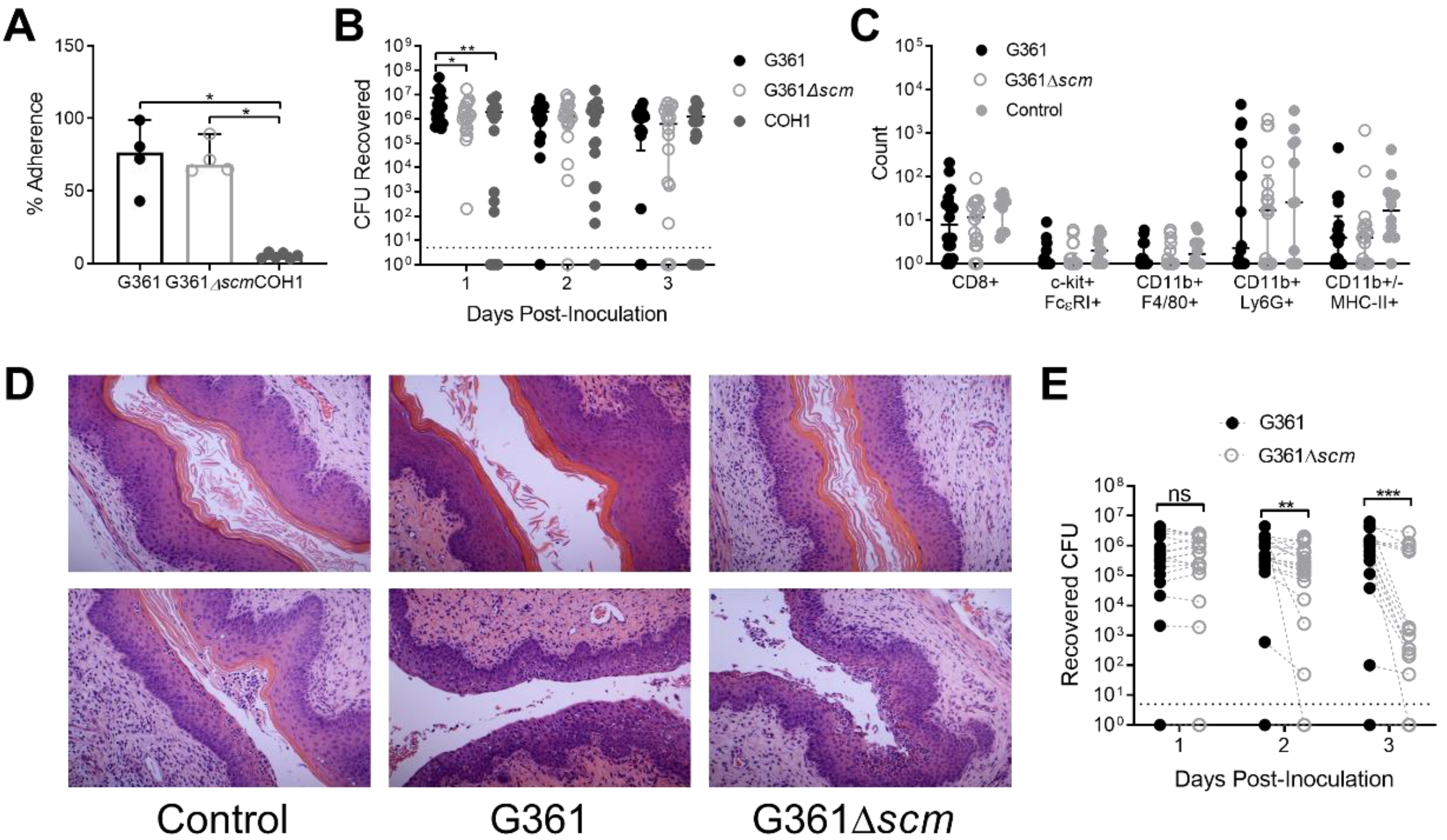 Microorganisms 09 00183 g004 Microorganisms 09 00183 g004