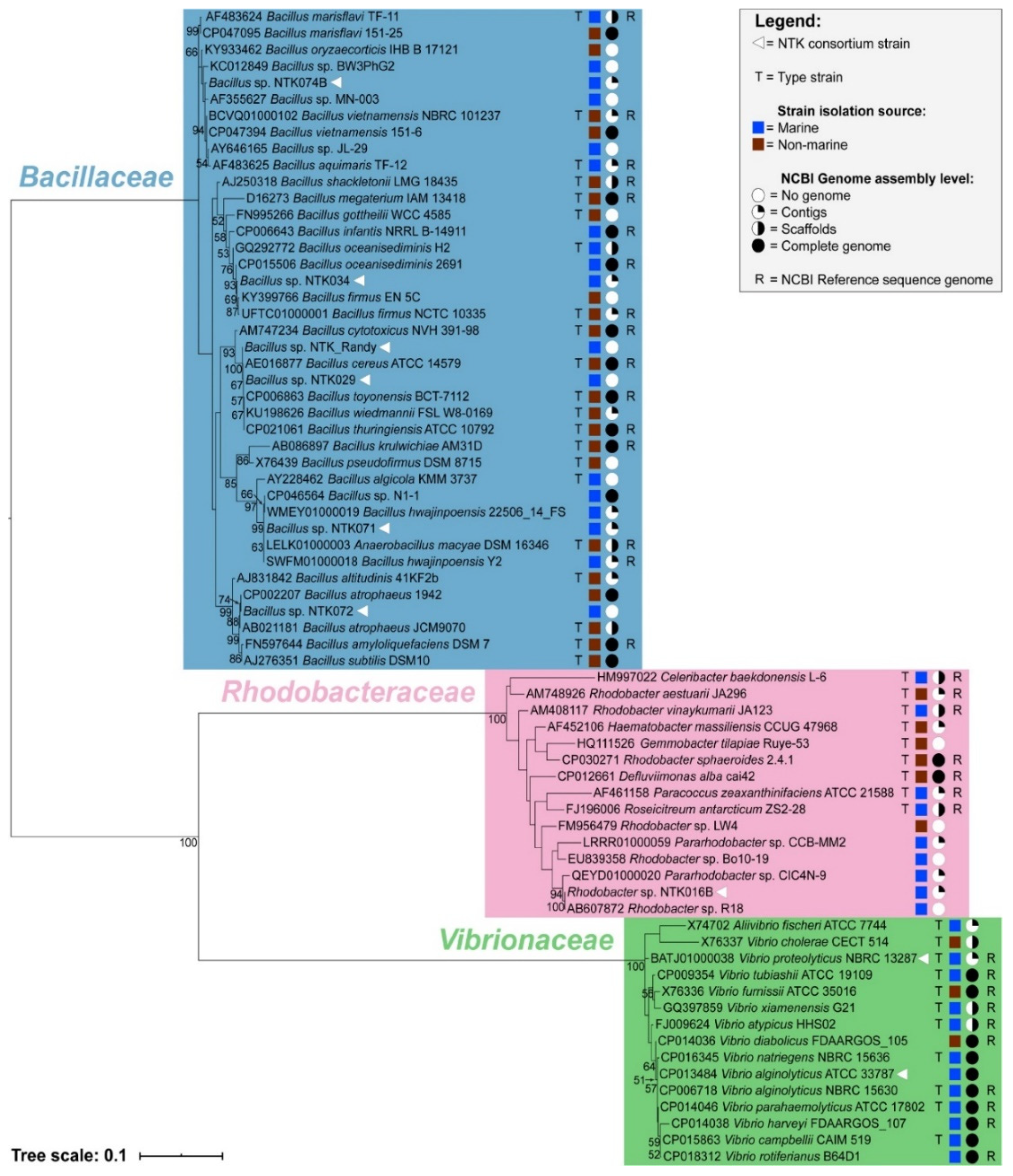 Microorganisms 09 00186 g002 Microorganisms 09 00186 g002