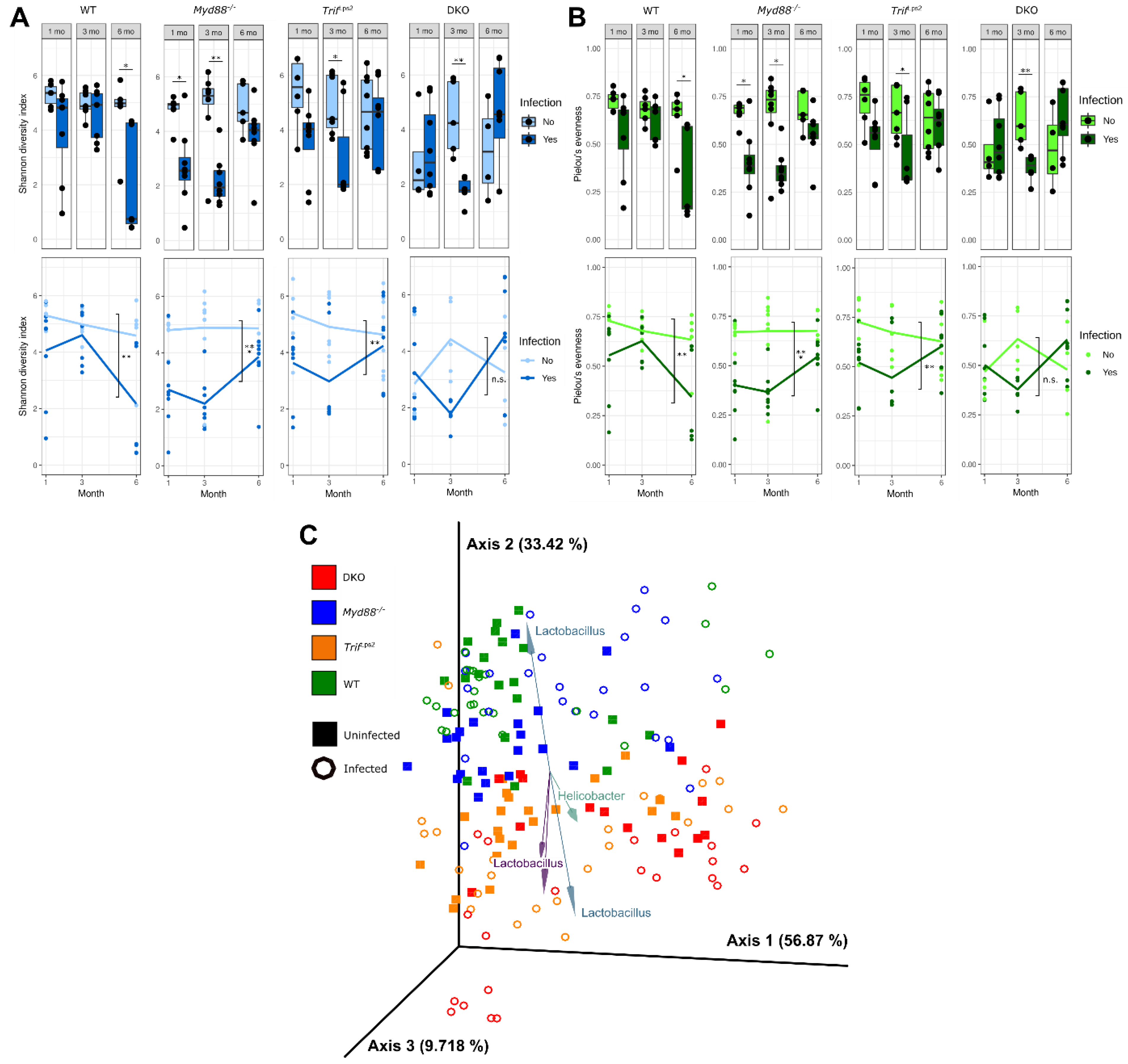 Microorganisms 09 00189 g001 Microorganisms 09 00189 g001
