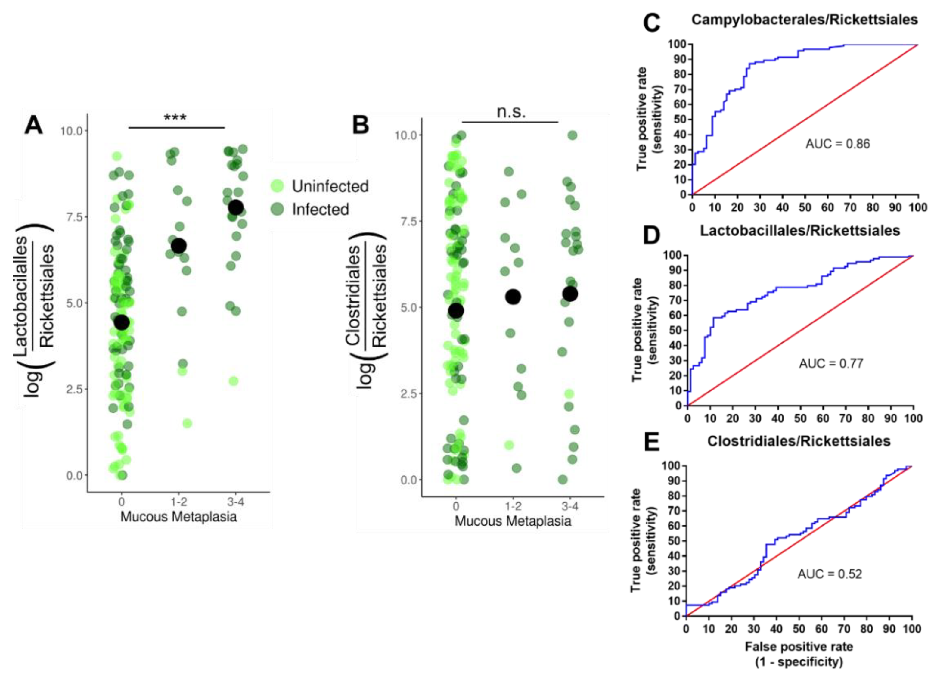 Microorganisms 09 00189 g006 Microorganisms 09 00189 g006