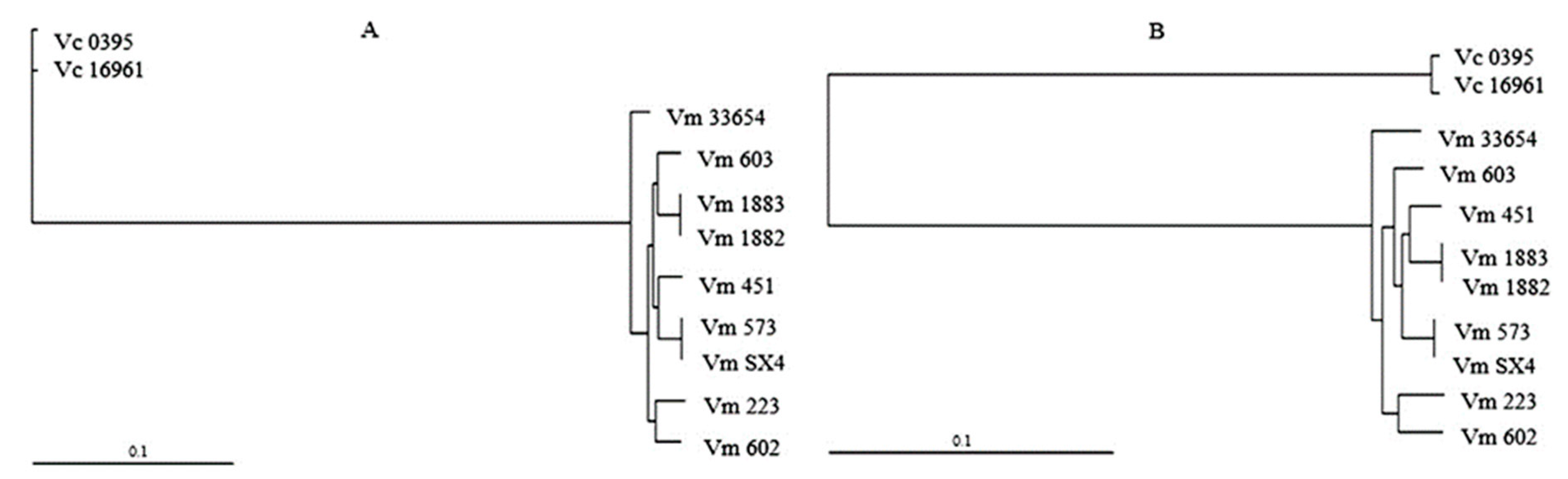 Microorganisms 09 00191 g002