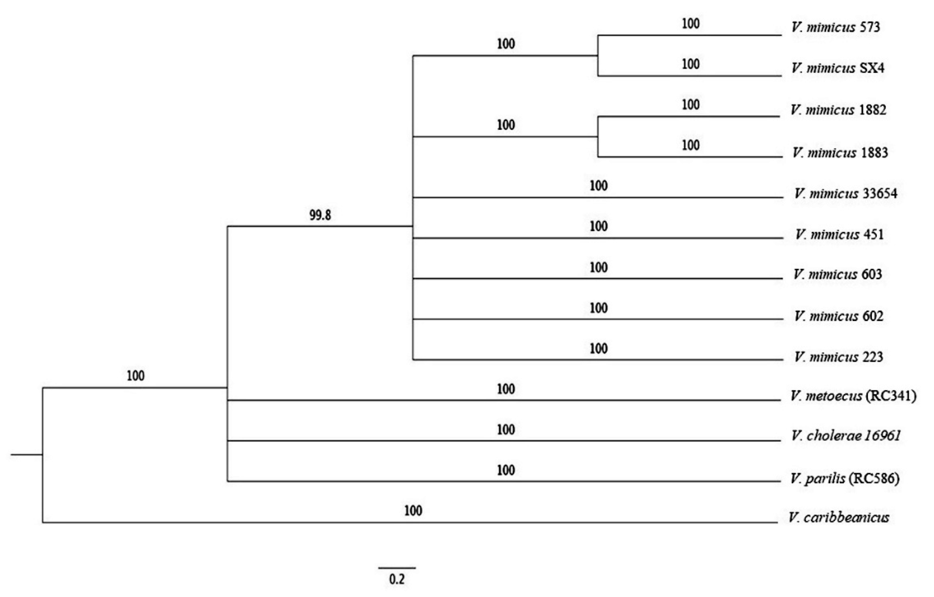 Microorganisms 09 00191 g005