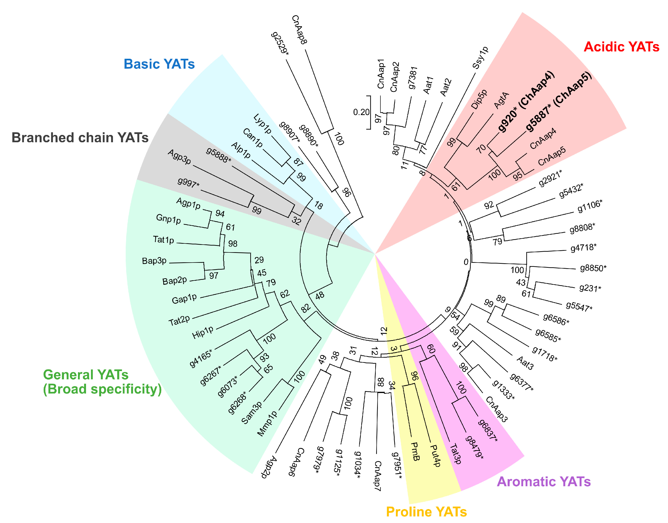 Microorganisms 09 00192 g002 Microorganisms 09 00192 g002