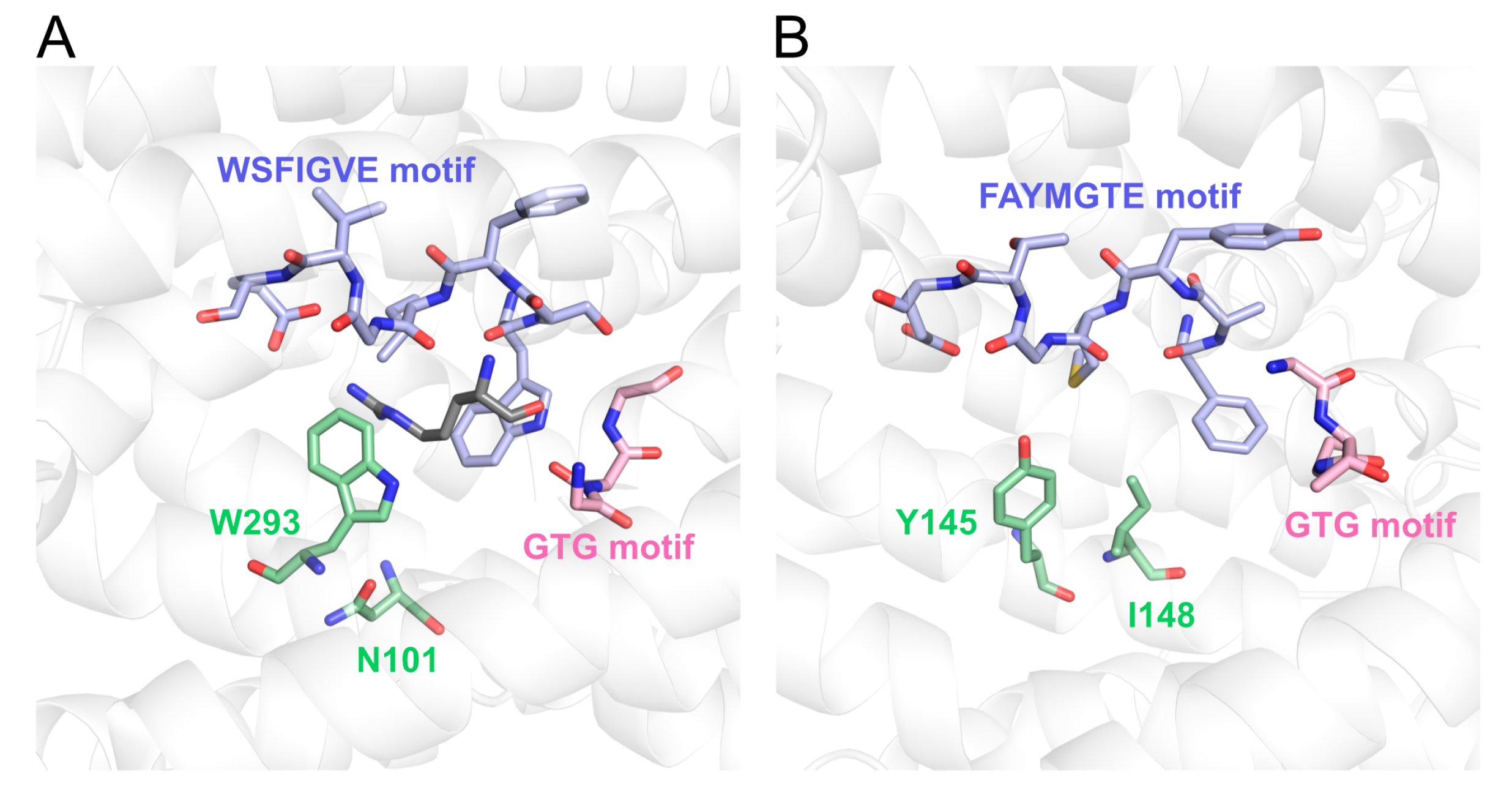 Microorganisms 09 00192 g007 Microorganisms 09 00192 g007