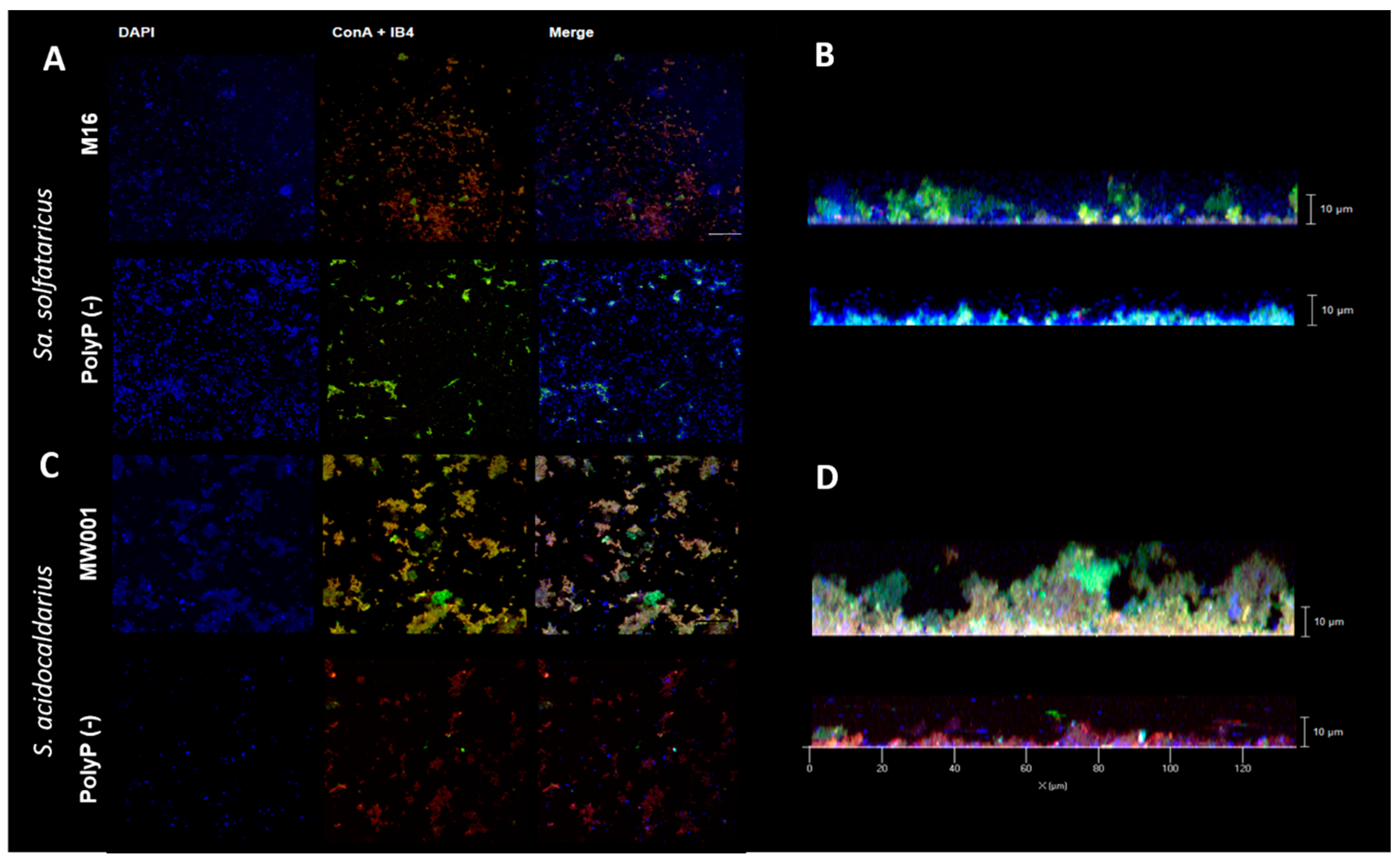 Microorganisms 09 00193 g002