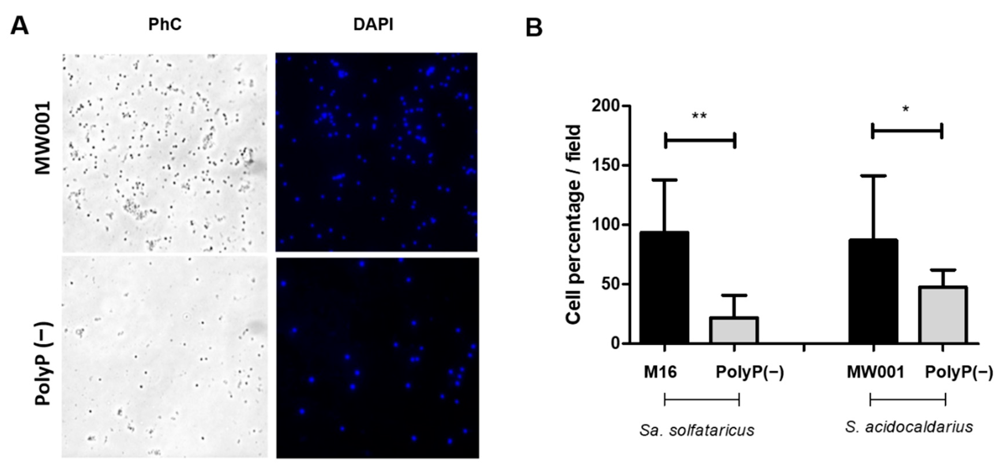 Microorganisms 09 00193 g003