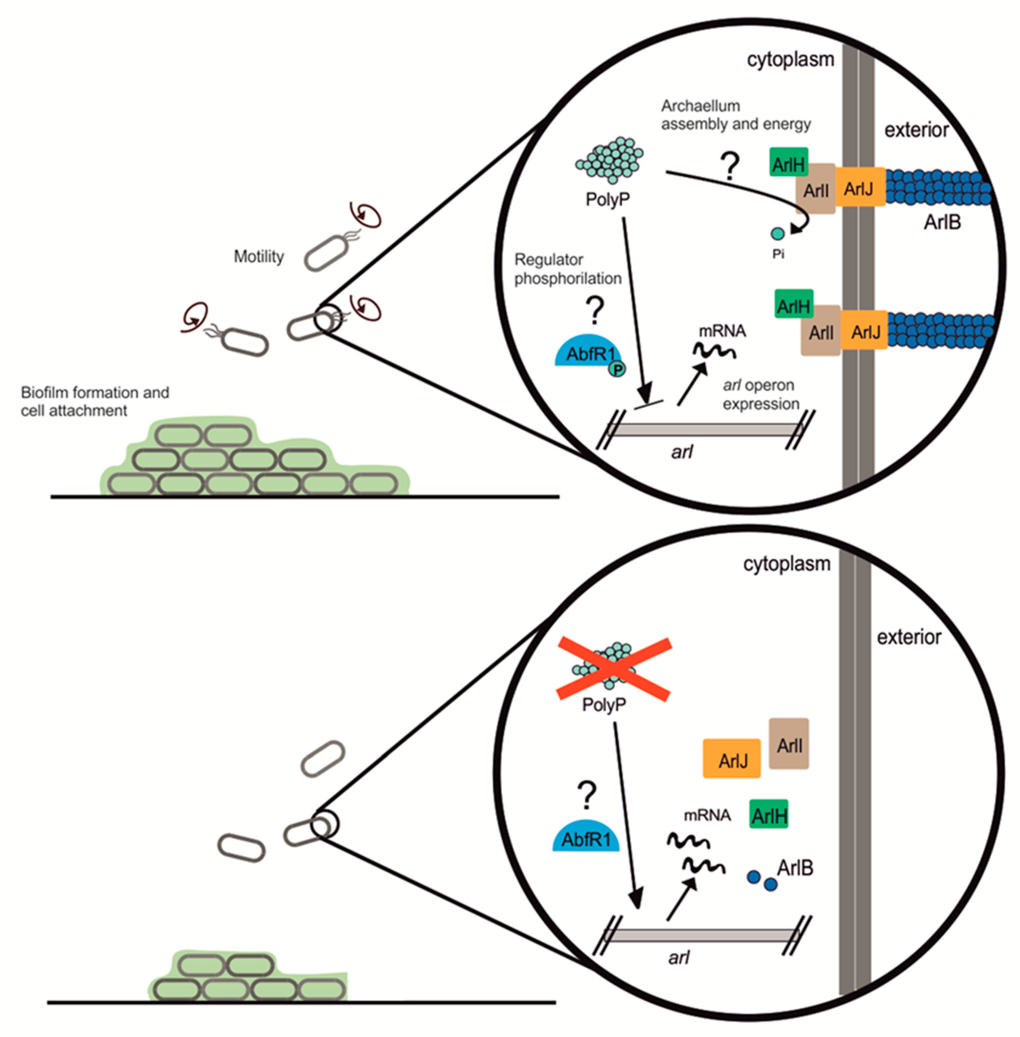 Microorganisms 09 00193 g007