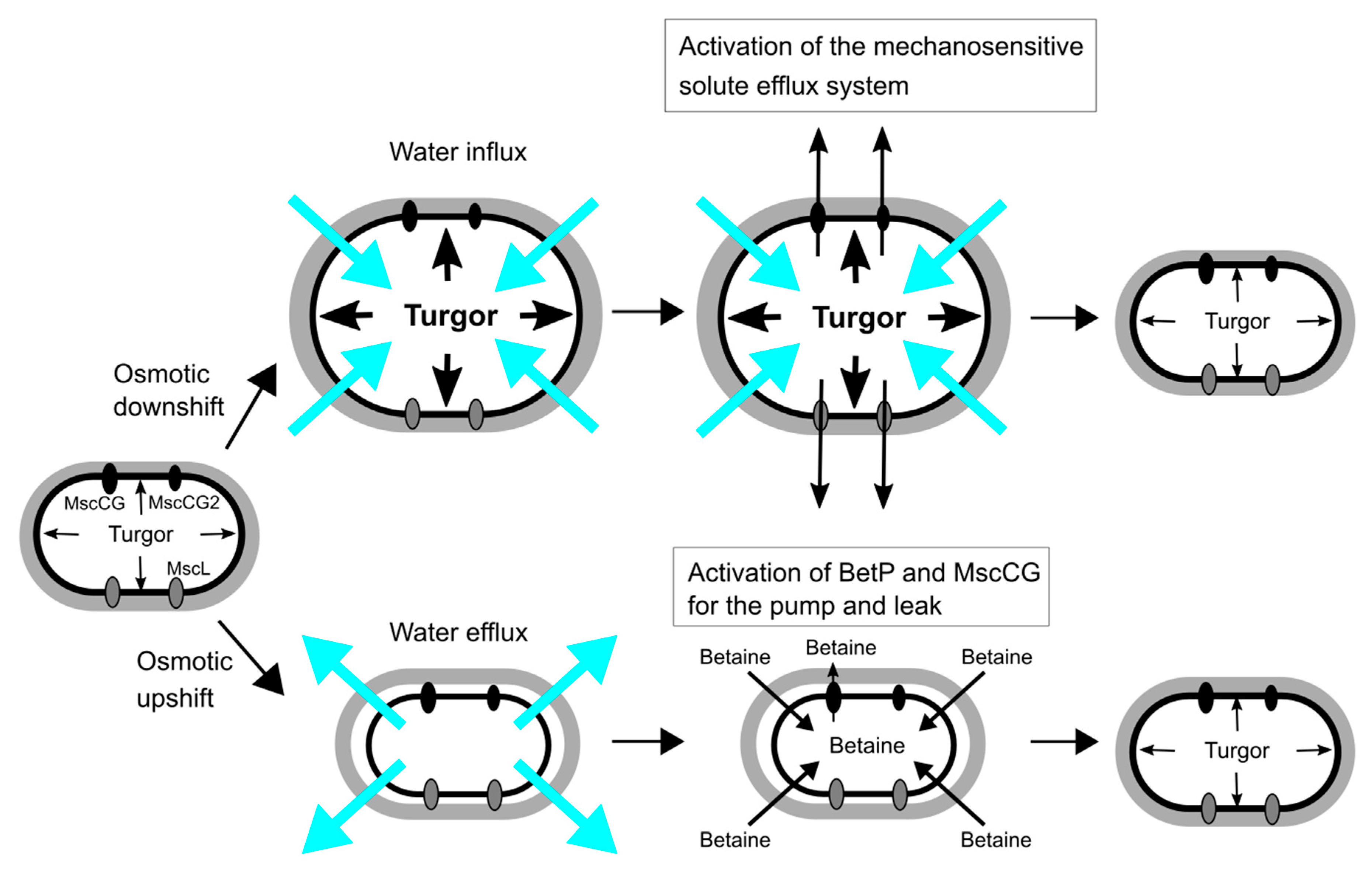Microorganisms 09 00201 g002 Microorganisms 09 00201 g002