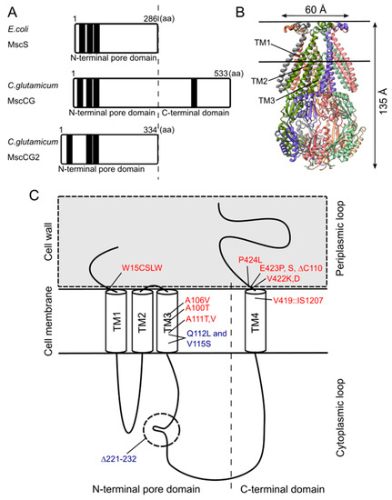 Microorganisms 09 00201 g003 550