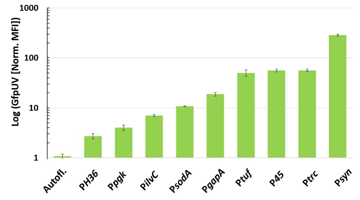 Microorganisms 09 00204 g001 Microorganisms 09 00204 g001