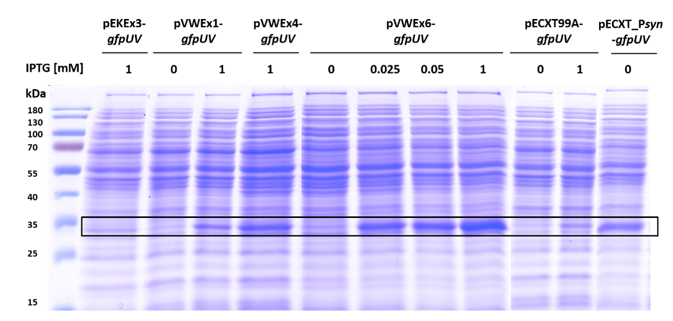 Microorganisms 09 00204 g003 Microorganisms 09 00204 g003
