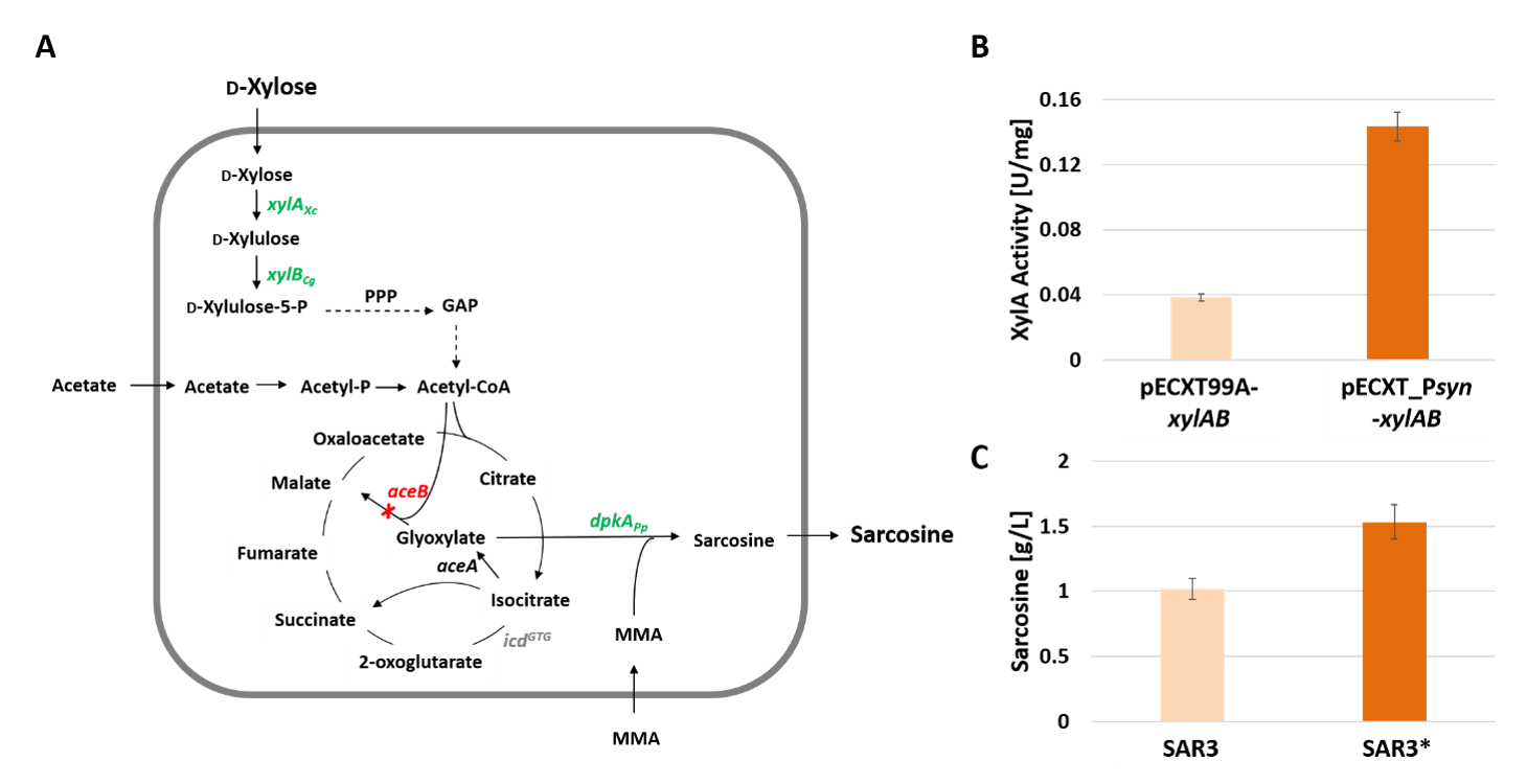 Microorganisms 09 00204 g004 Microorganisms 09 00204 g004