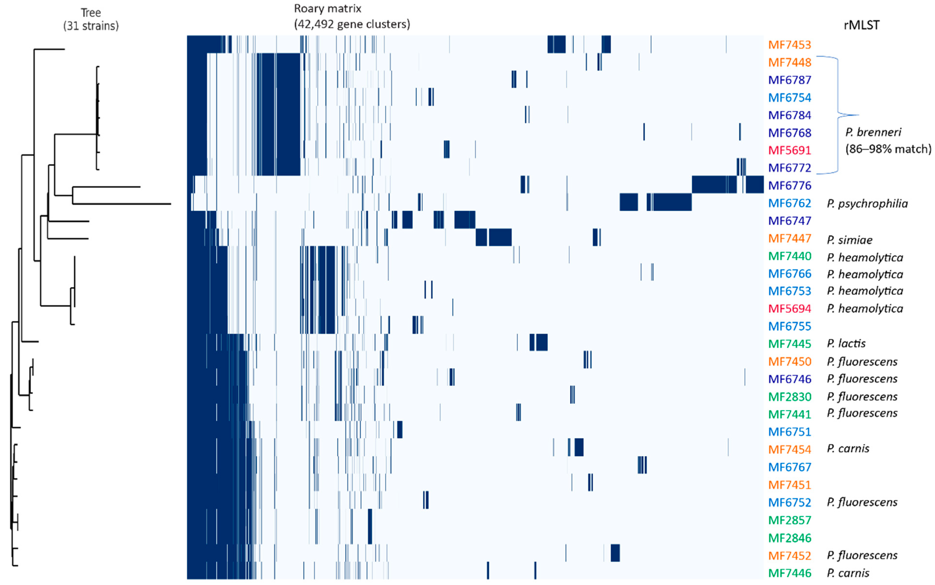 Microorganisms 09 00207 g003 Microorganisms 09 00207 g003