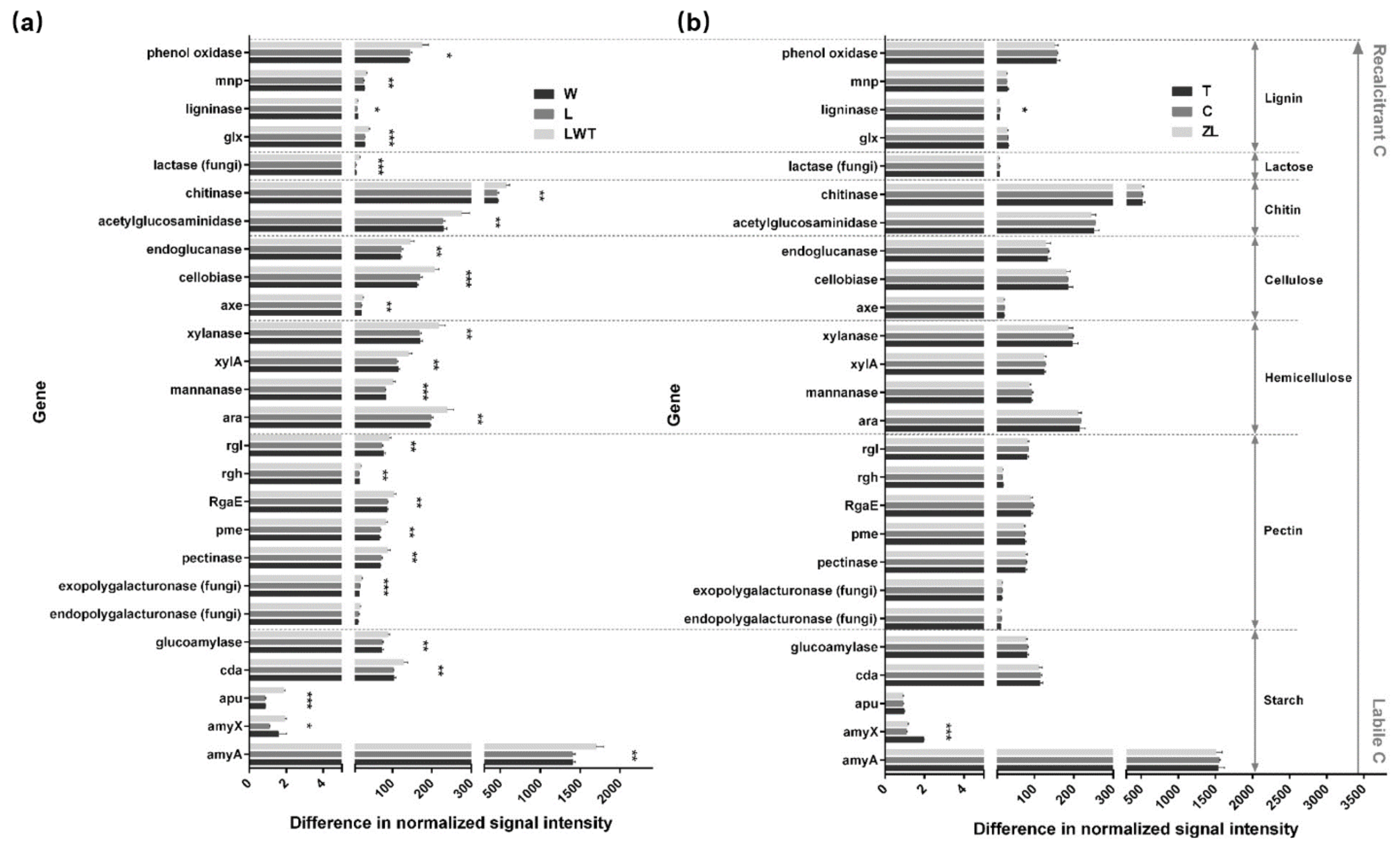 Microorganisms 09 00211 g011