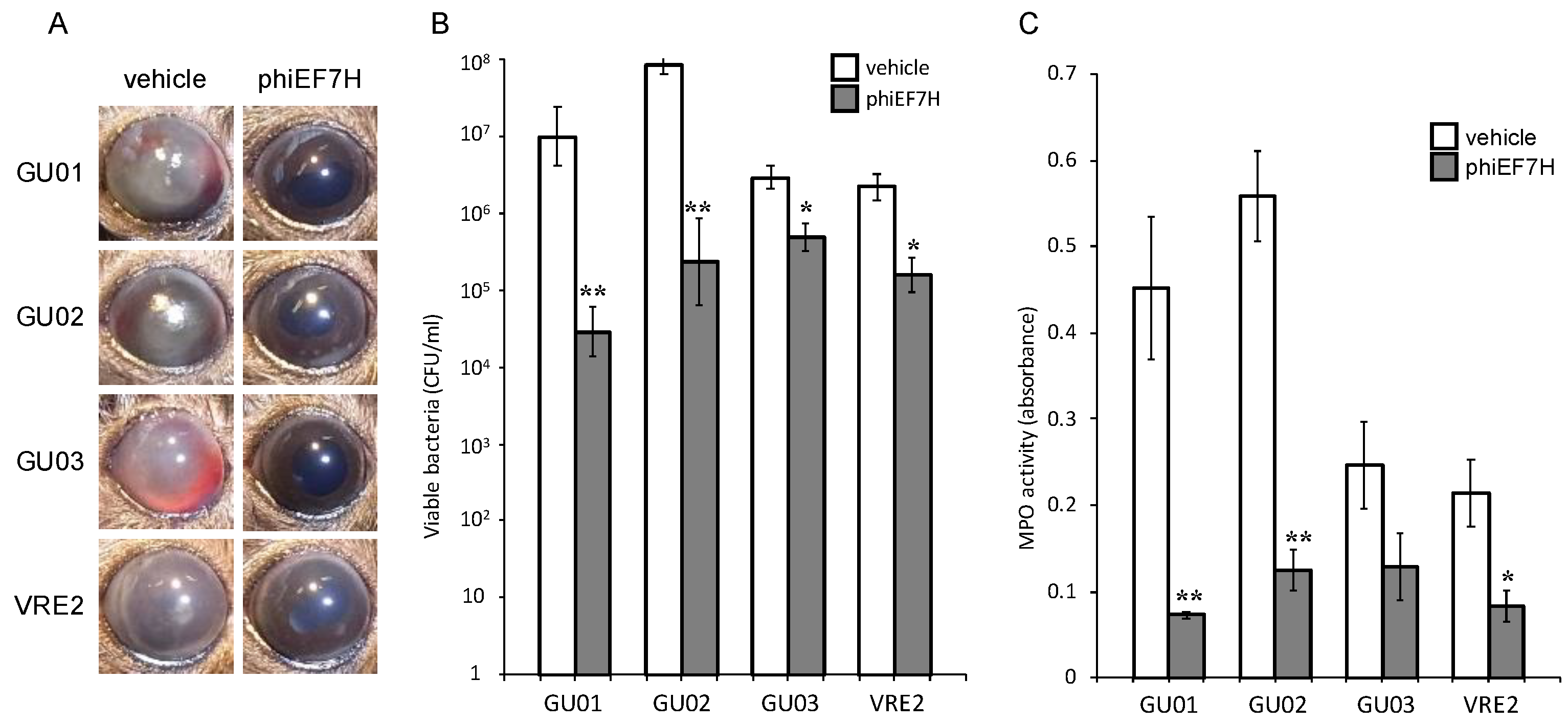 Microorganisms 09 00212 g003 Microorganisms 09 00212 g003