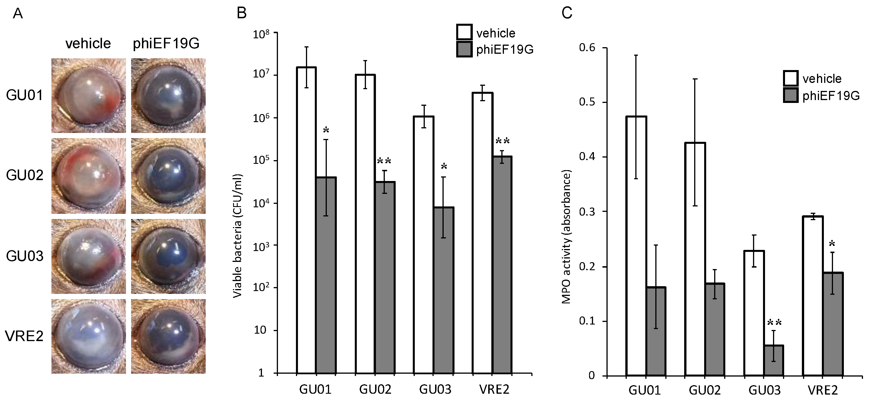 Microorganisms 09 00212 g005 Microorganisms 09 00212 g005